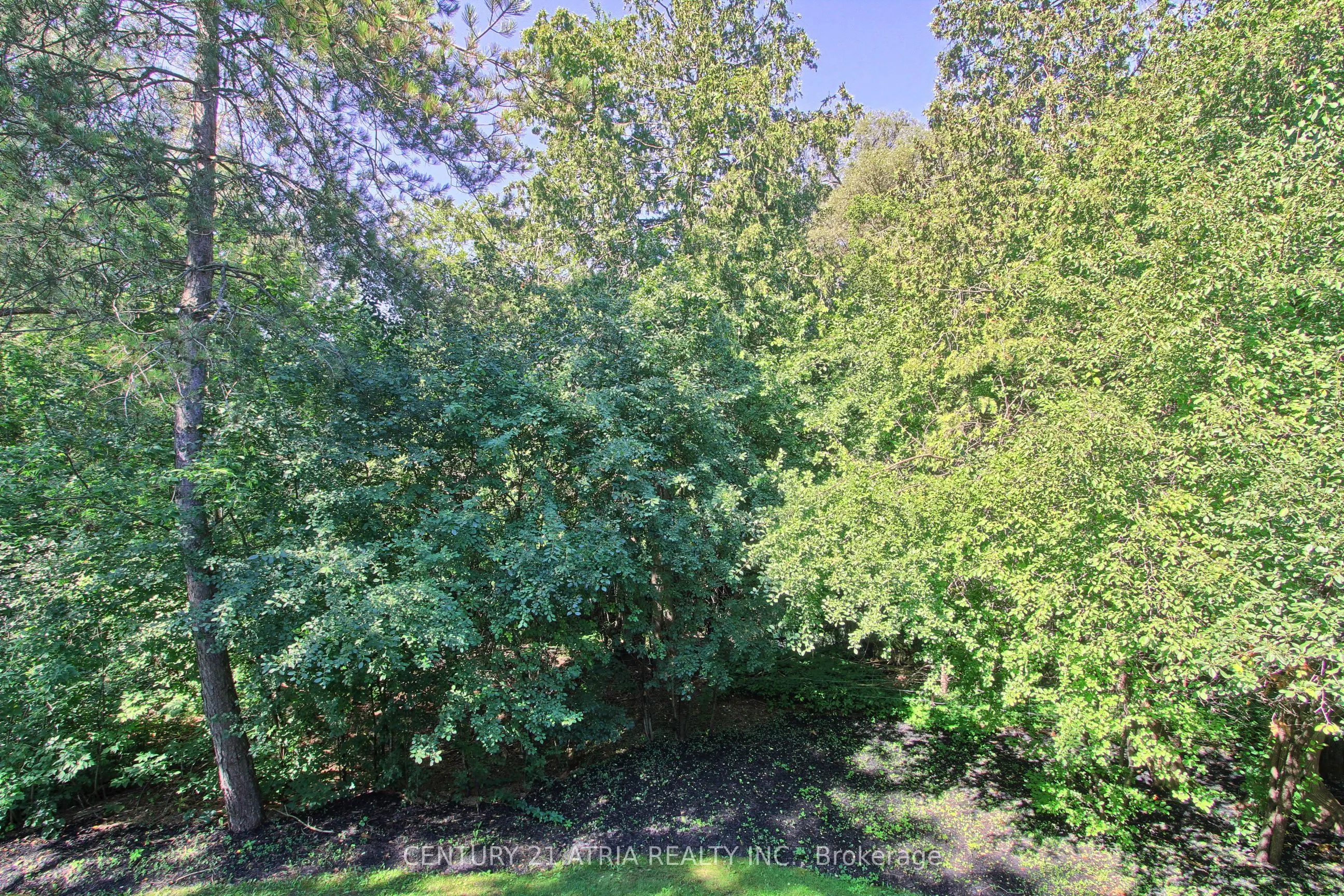 27 Anderson Place #11