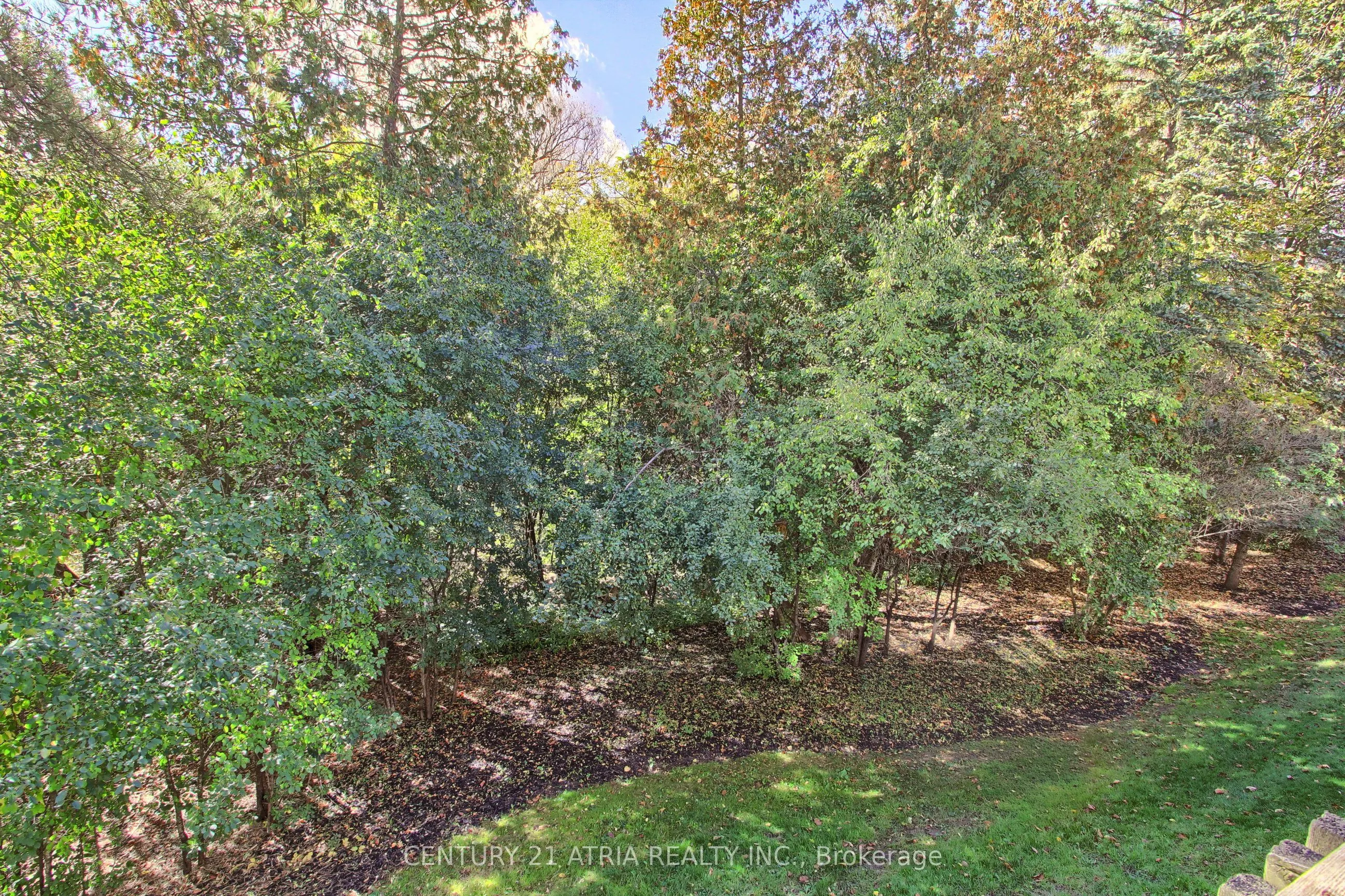 27 Anderson Place #11