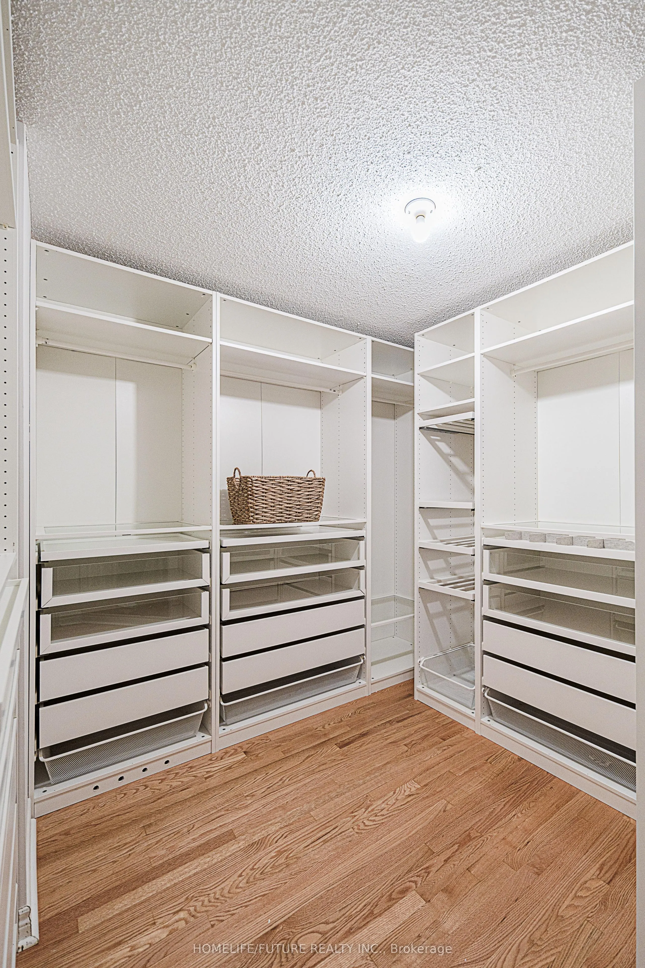 42 Boxwood Crescent