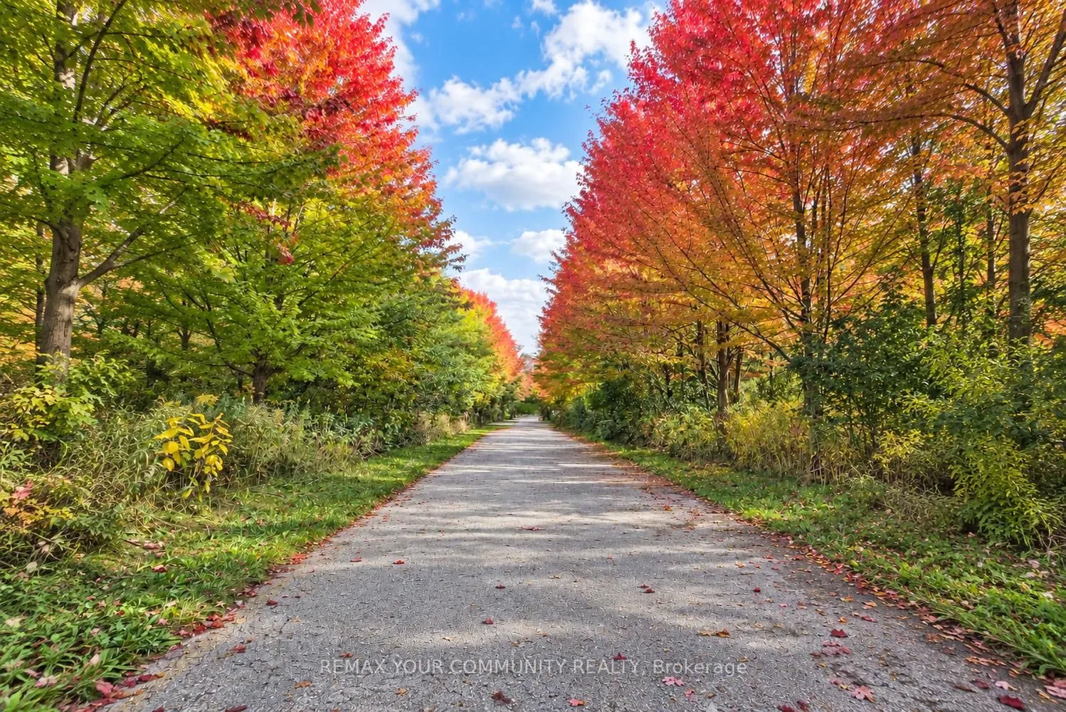 108 Golden Forest Road