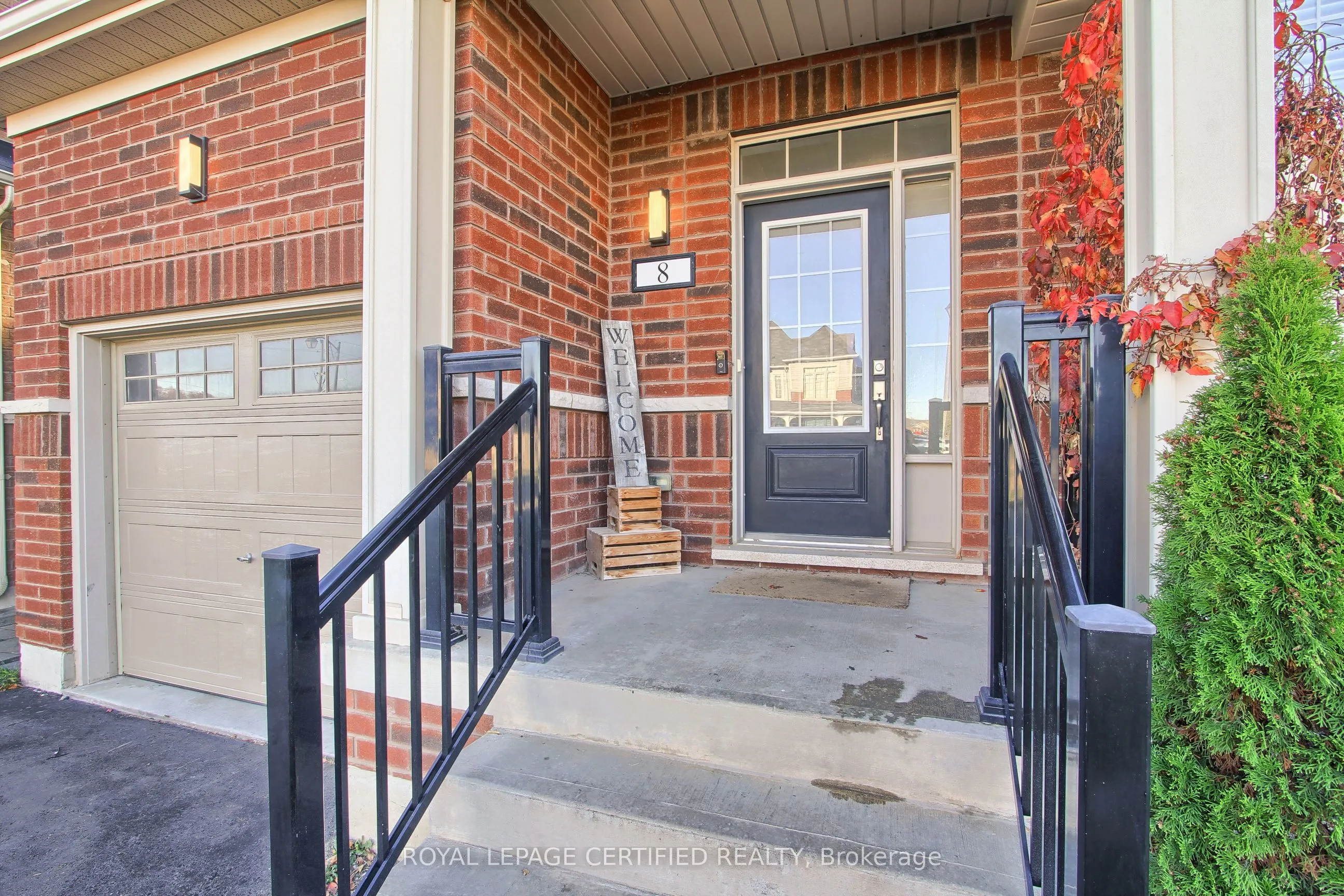 8 Martin Trail