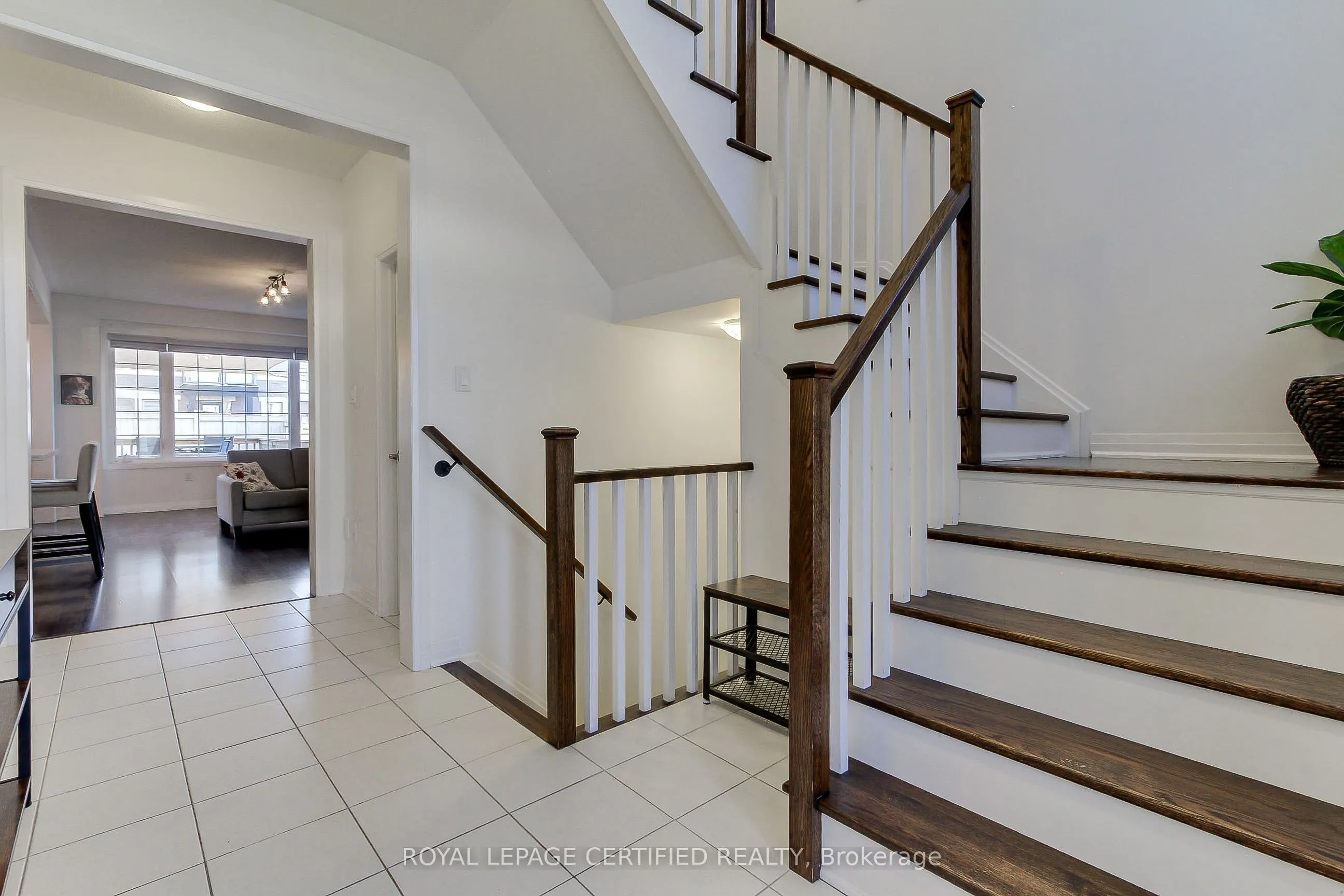 8 Martin Trail
