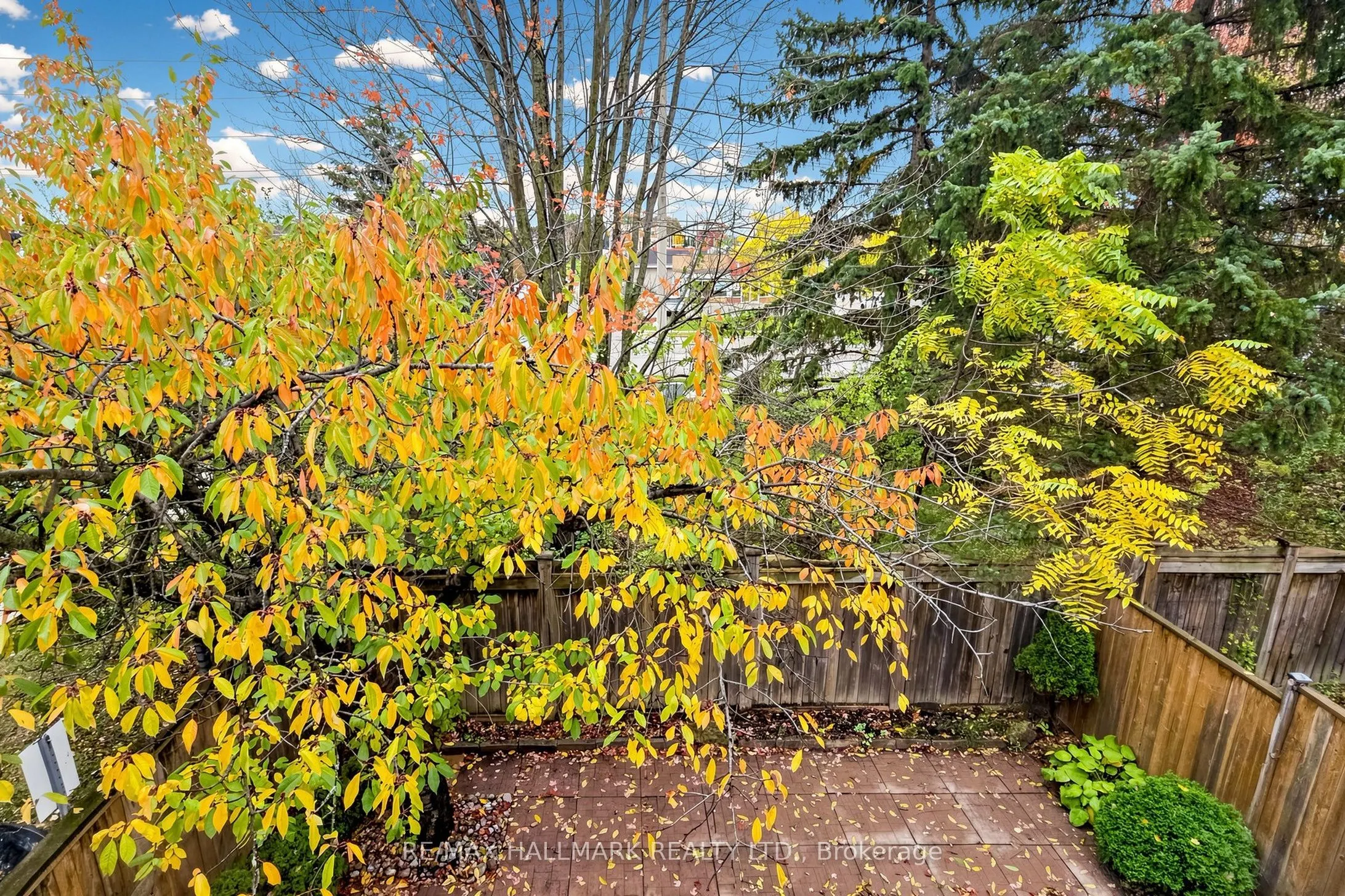 351 Riddell Court #1