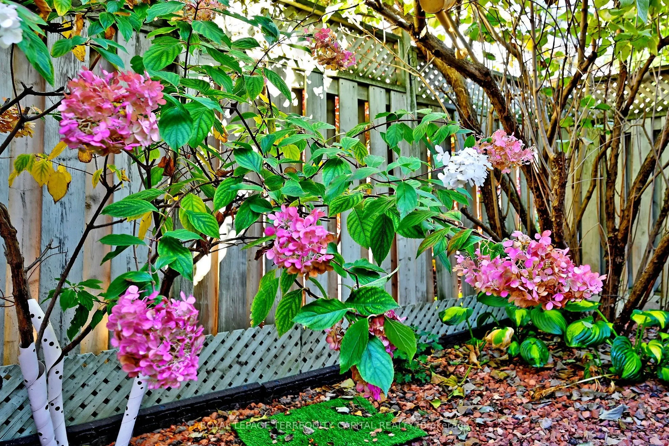22 Pedersen Drive