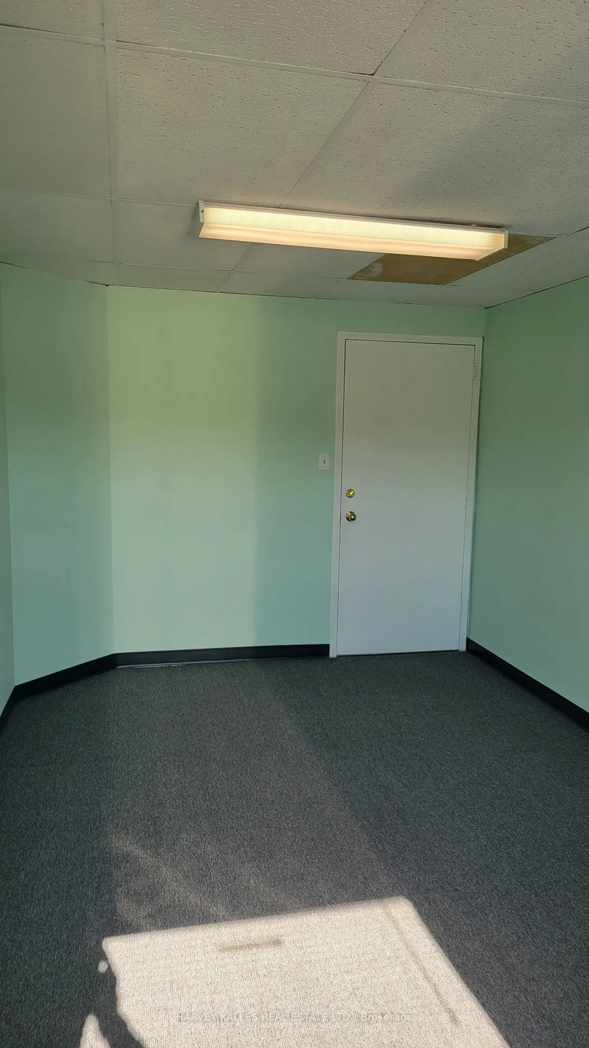 71 Glen Cameron Road #5