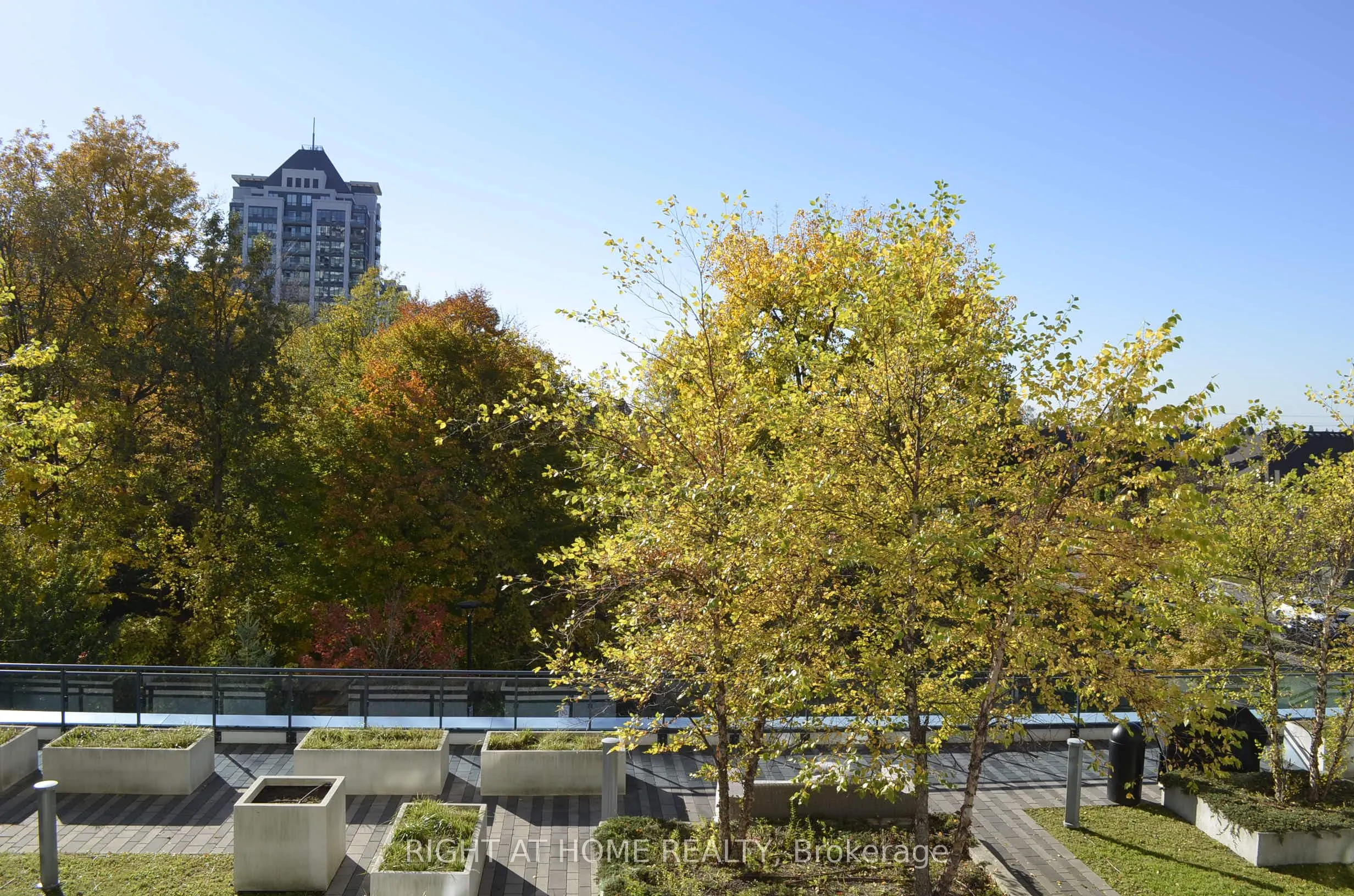 7900 Bathurst Street #323