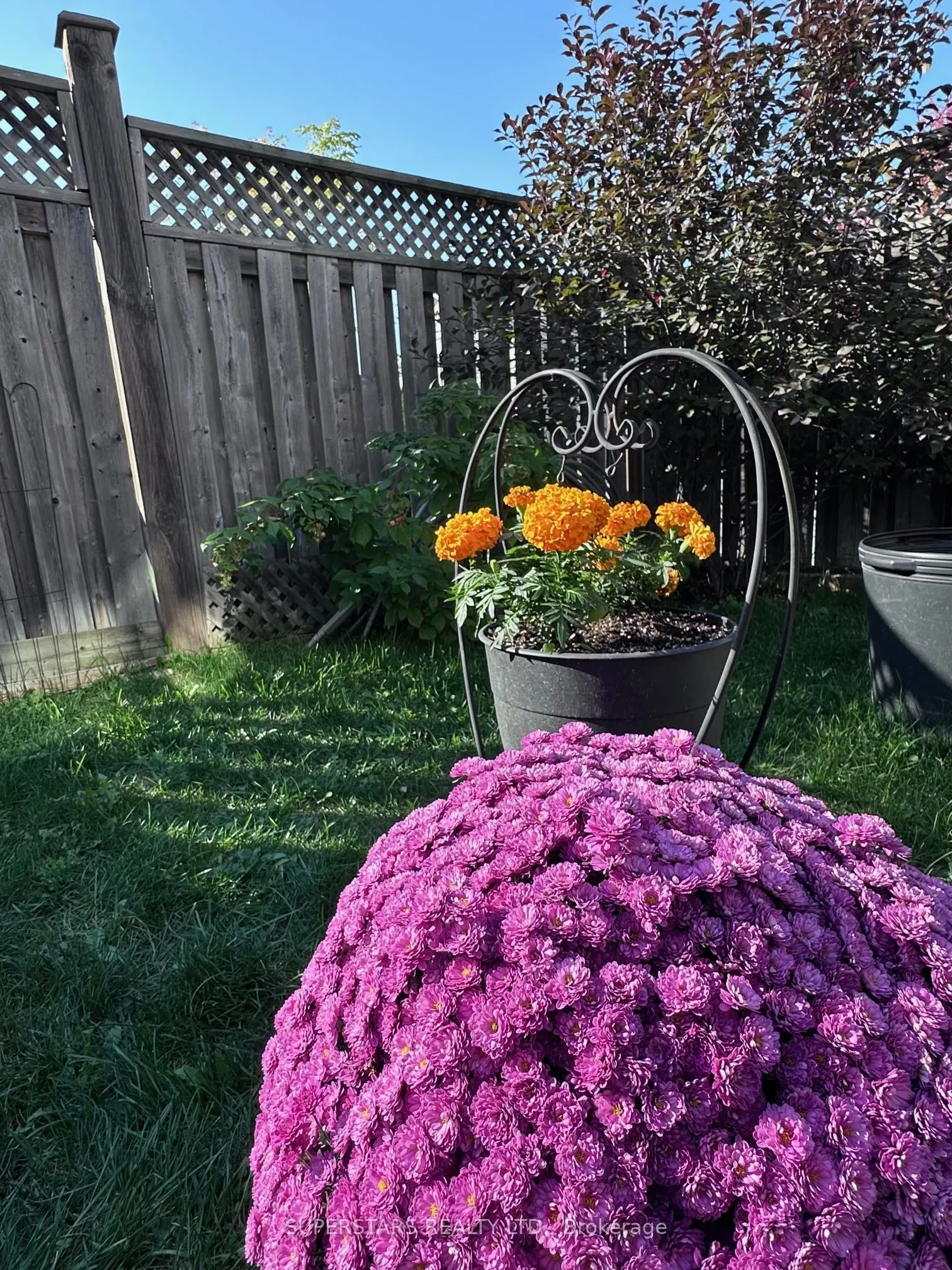 512 Bur Oak Avenue