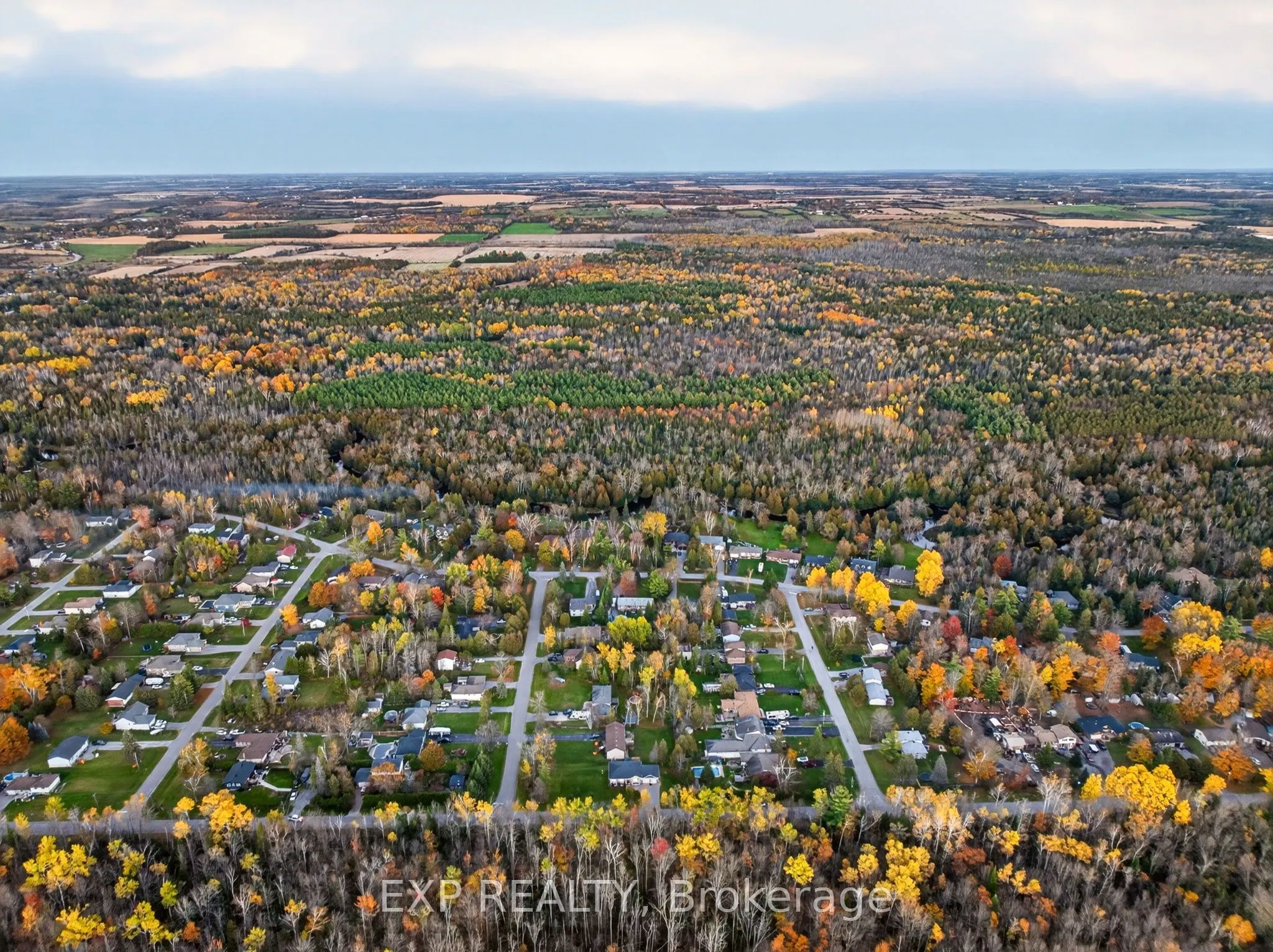 59 Forestry Drive