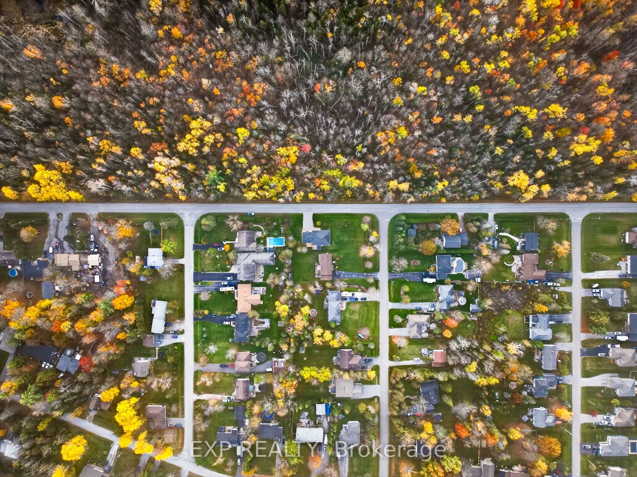 59 Forestry Drive