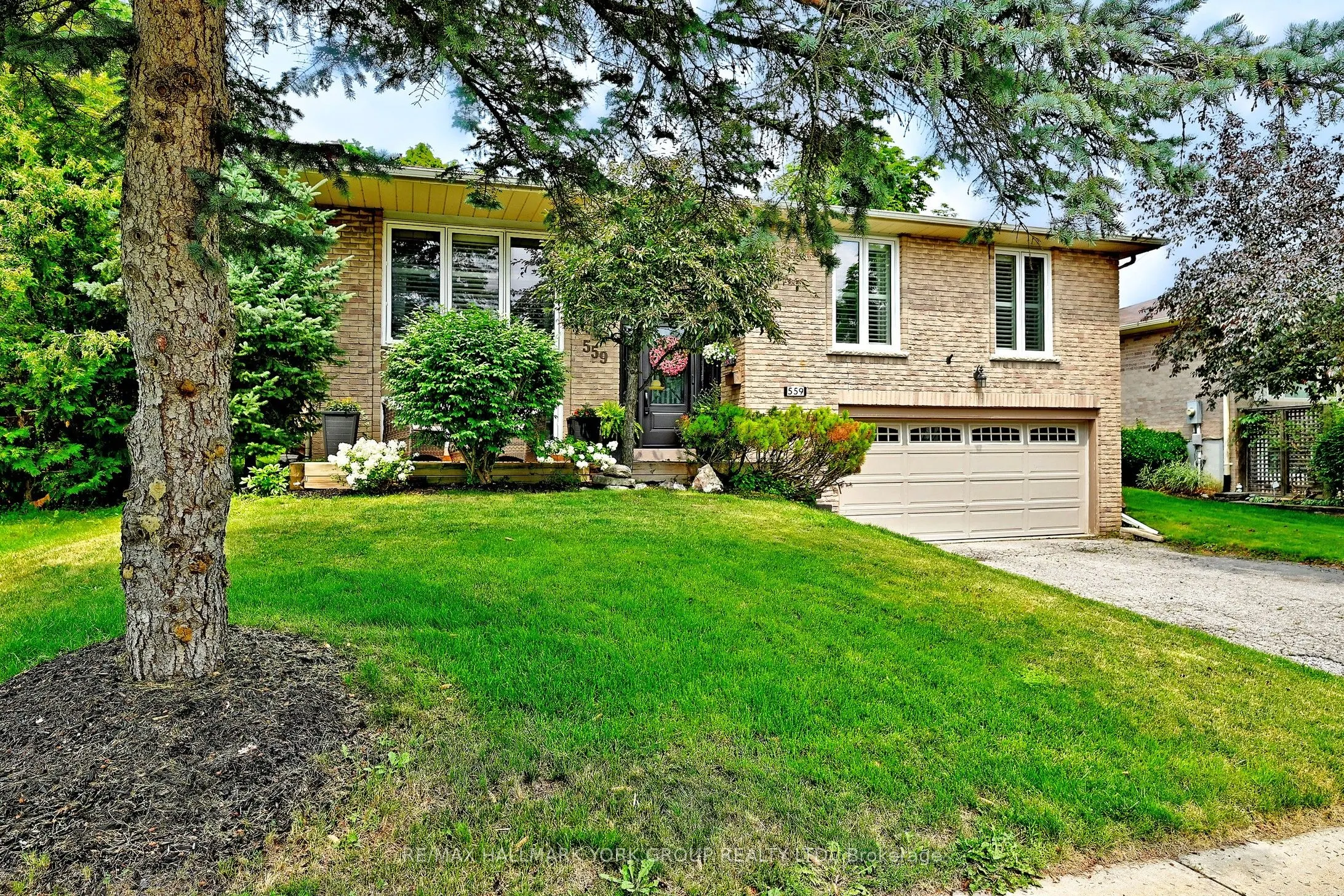 559 Haines Road