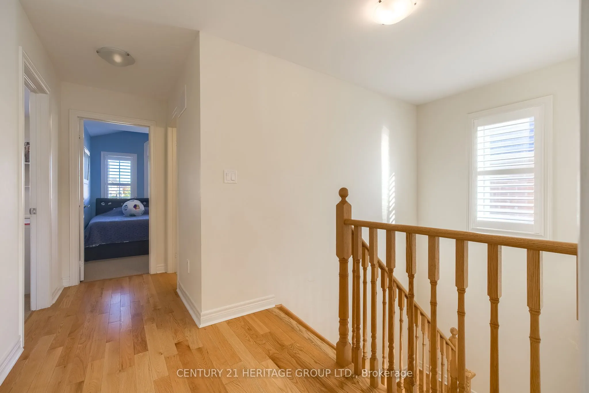 41 Algeo Way