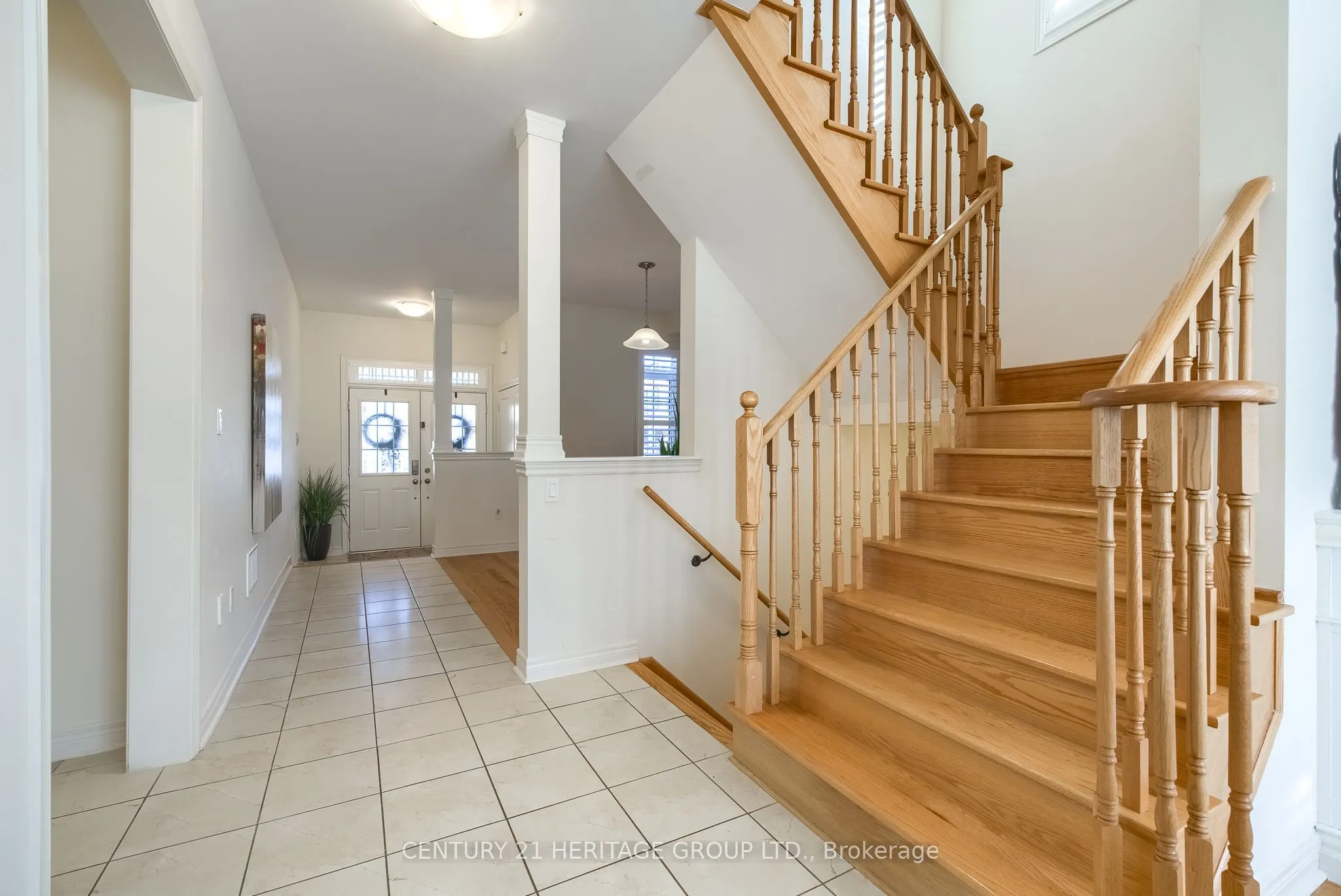 41 Algeo Way