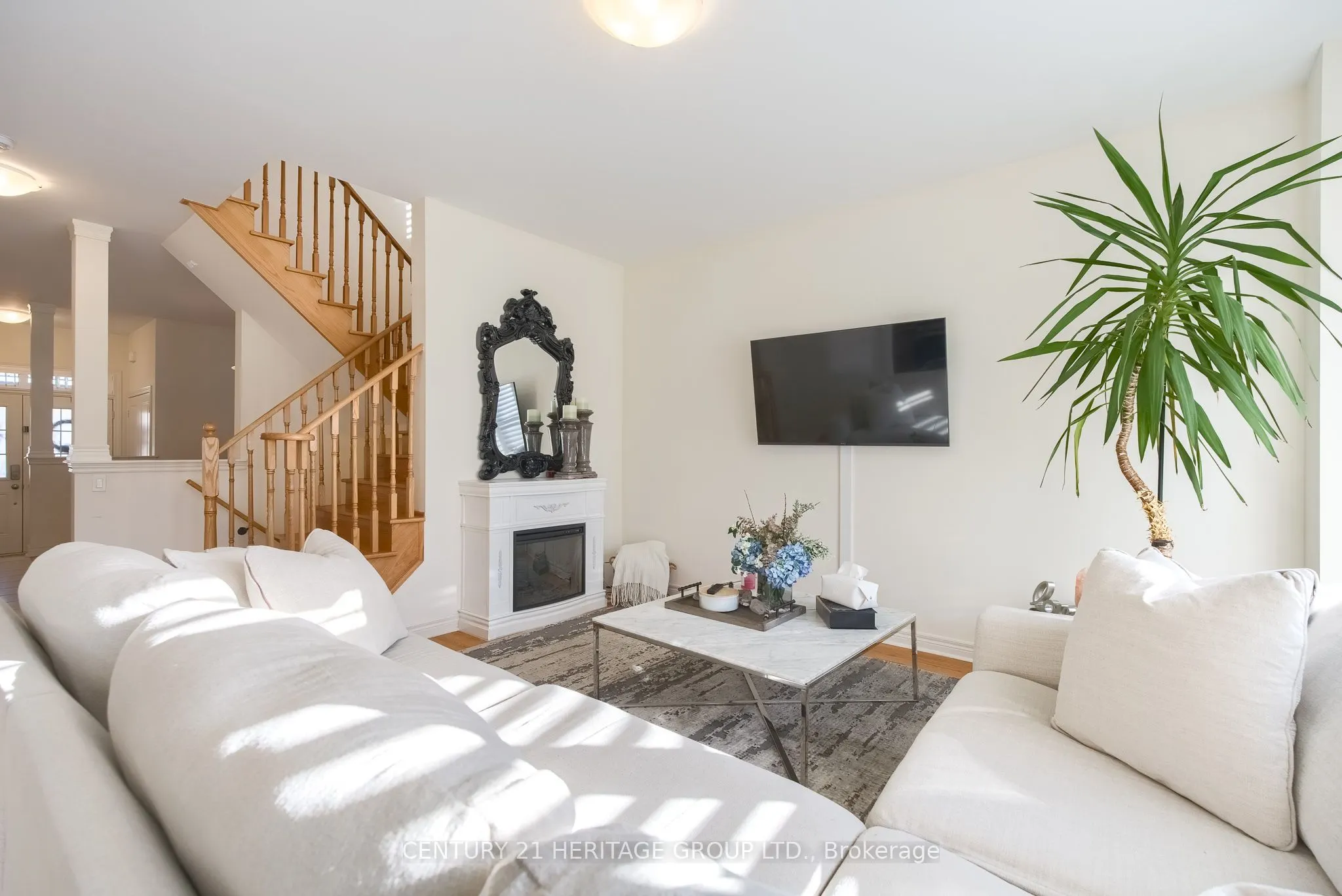 41 Algeo Way