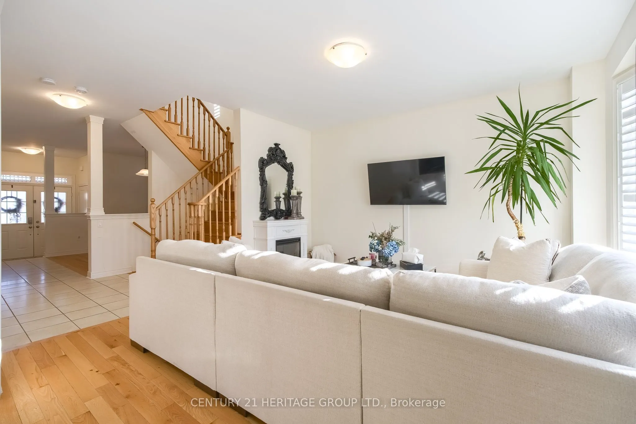 41 Algeo Way