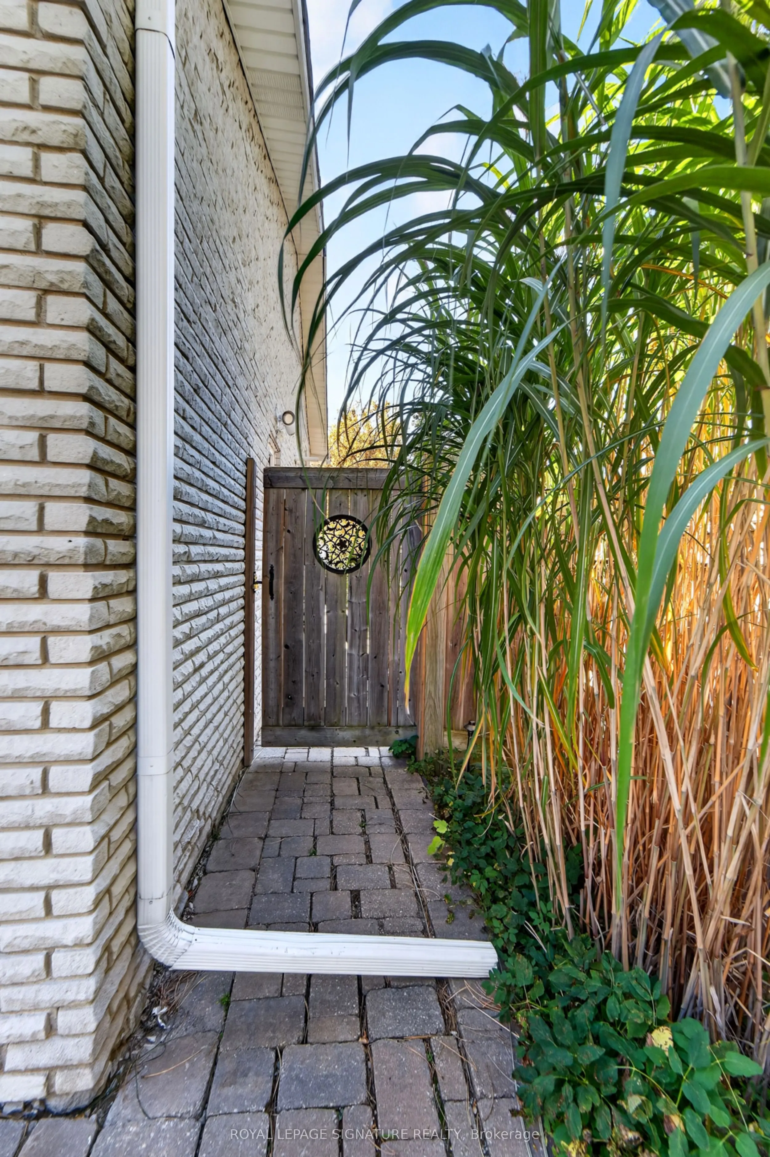 1 Banquo Road #Lower