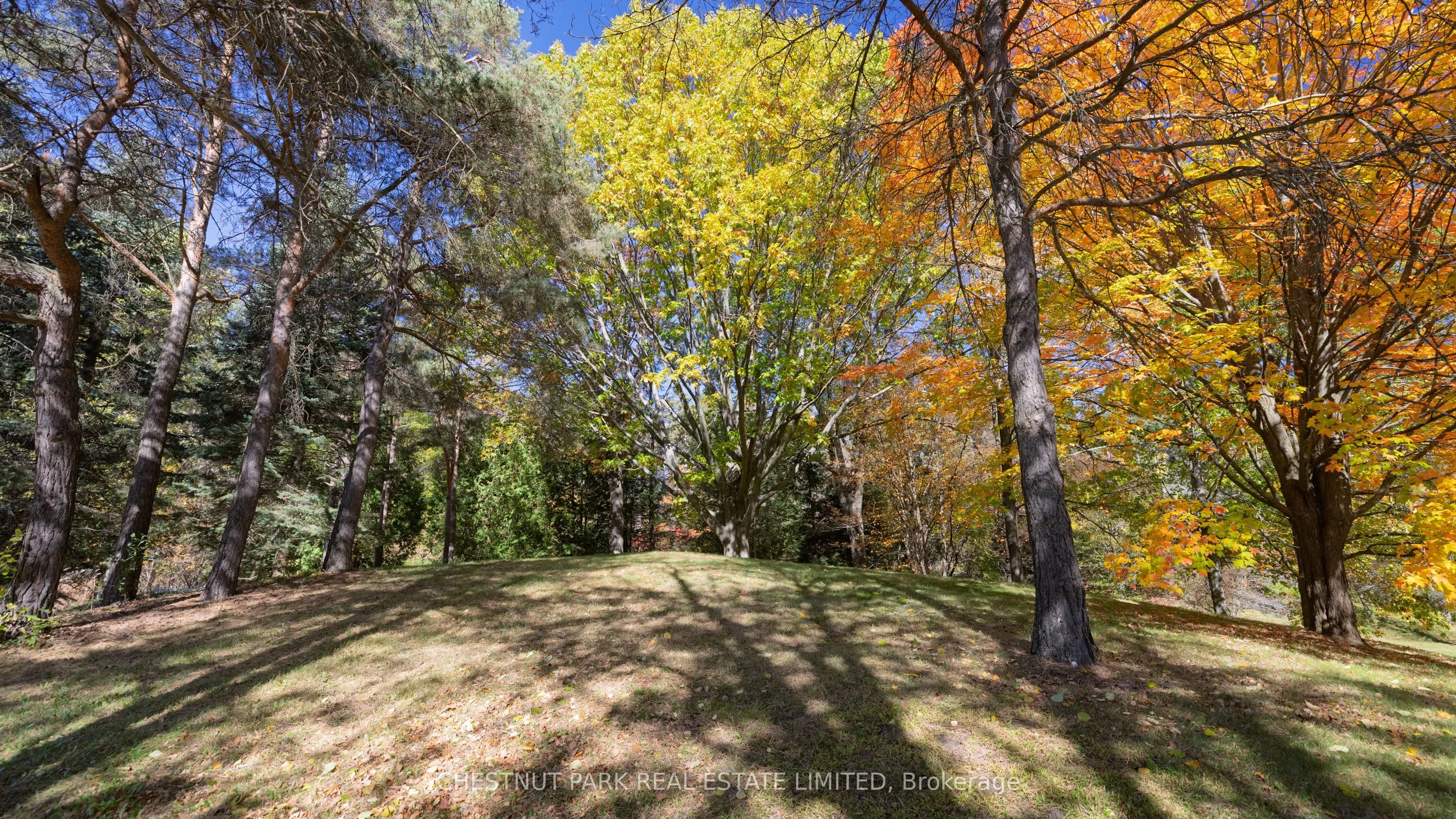 983 19th Side Road
