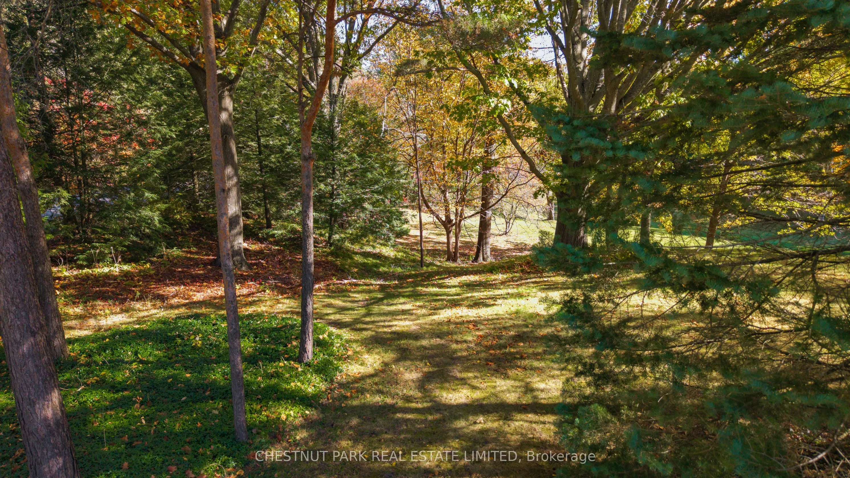 983 19th Side Road