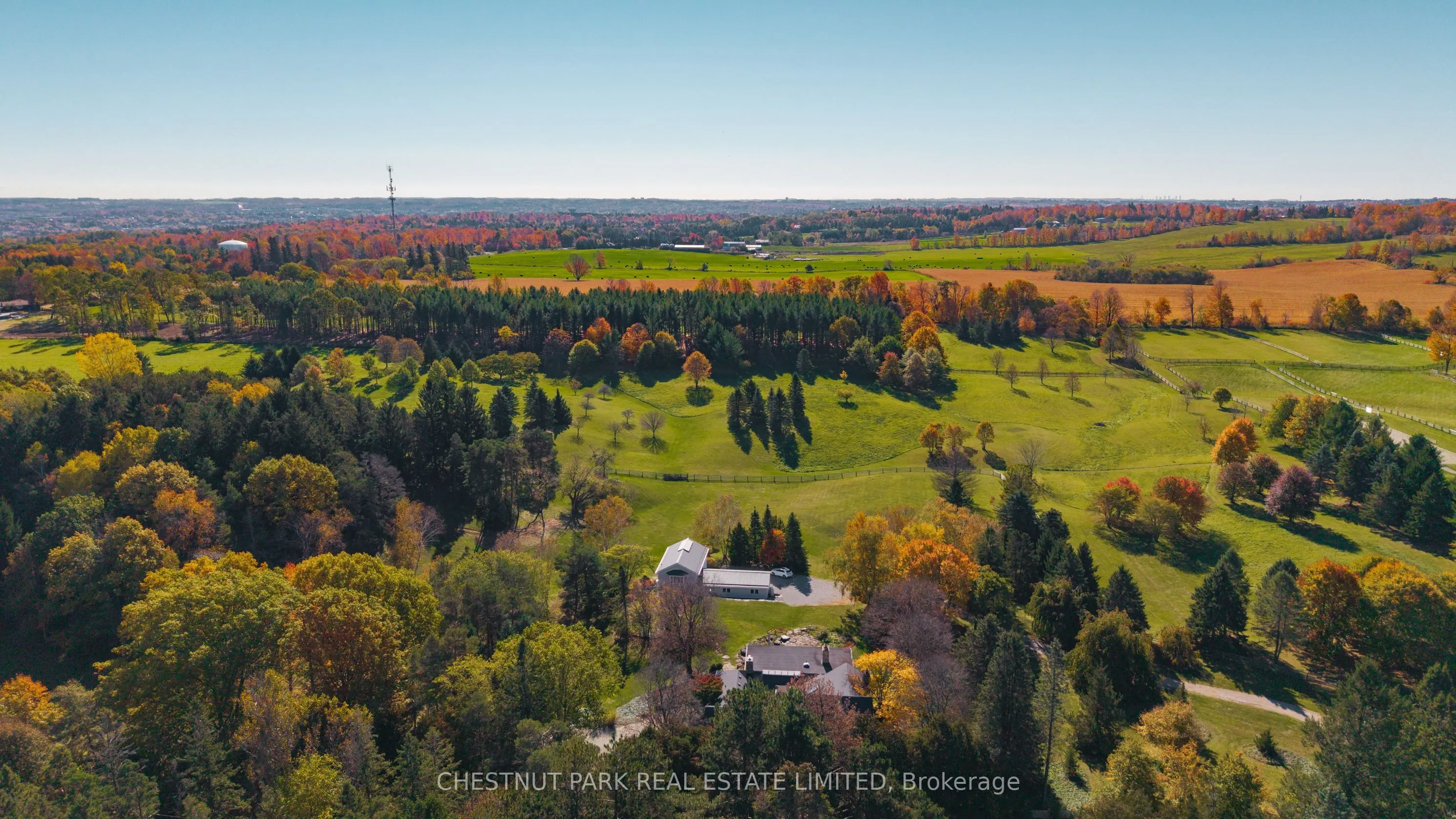983 19th Side Road
