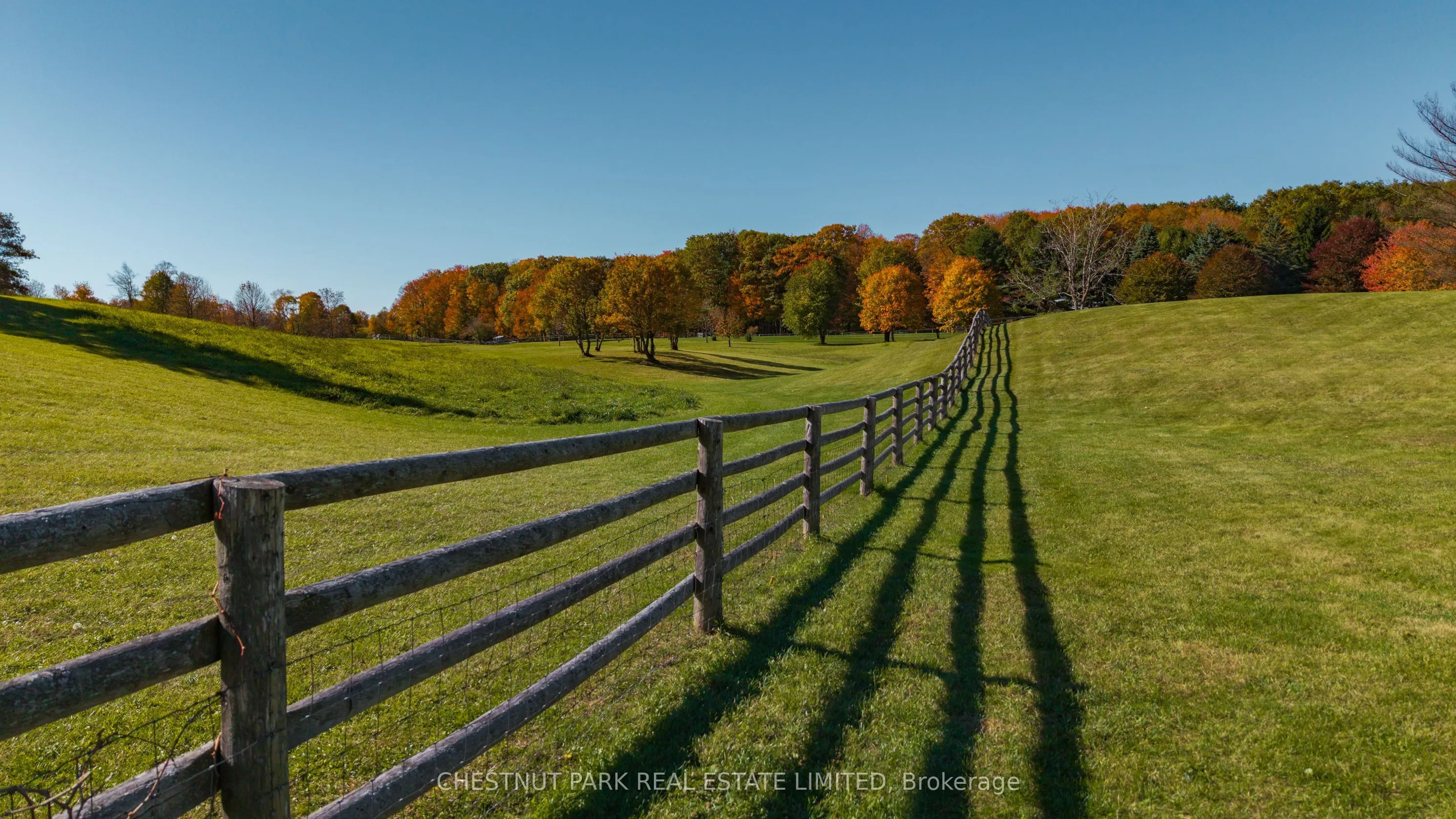 983 19th Side Road