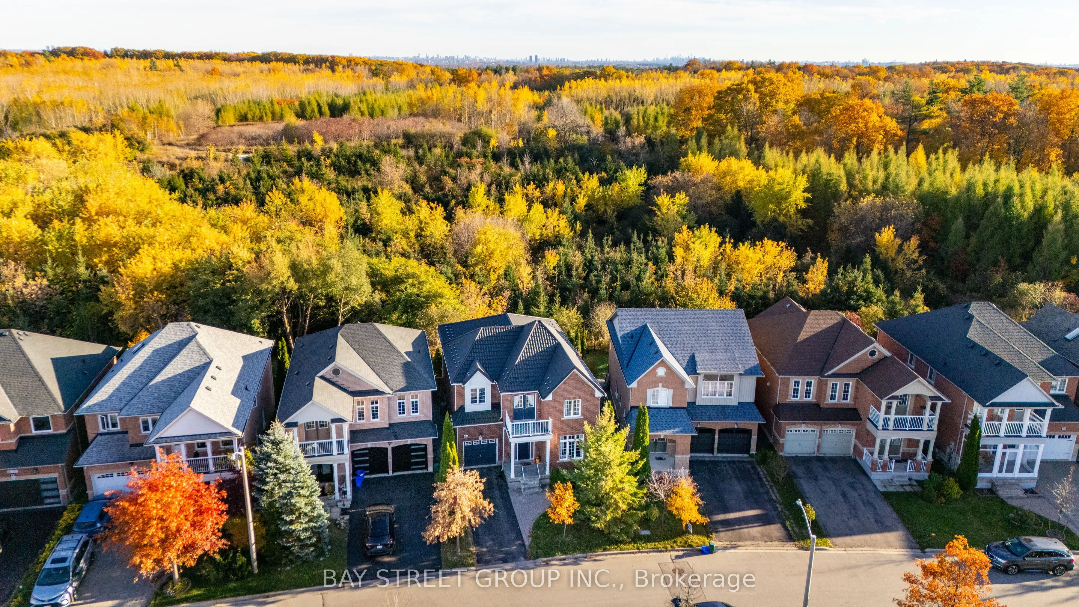 44 Trish Drive