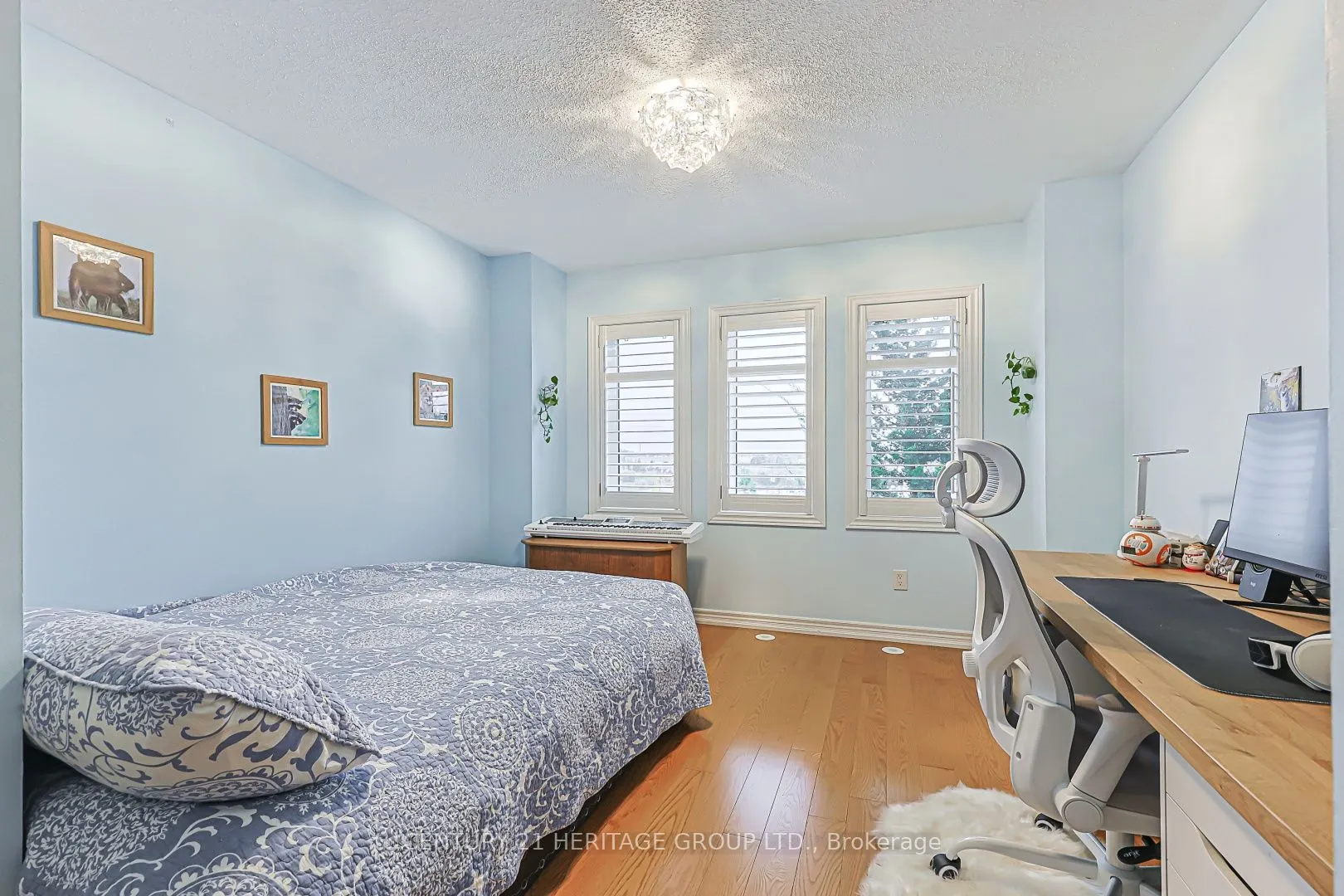 117 Zokol Drive