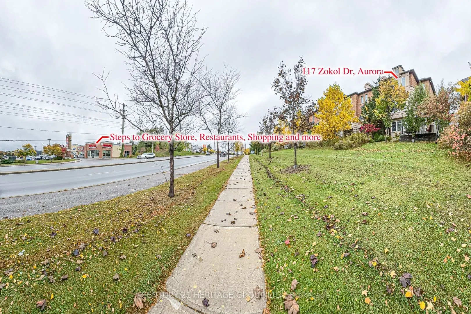 117 Zokol Drive