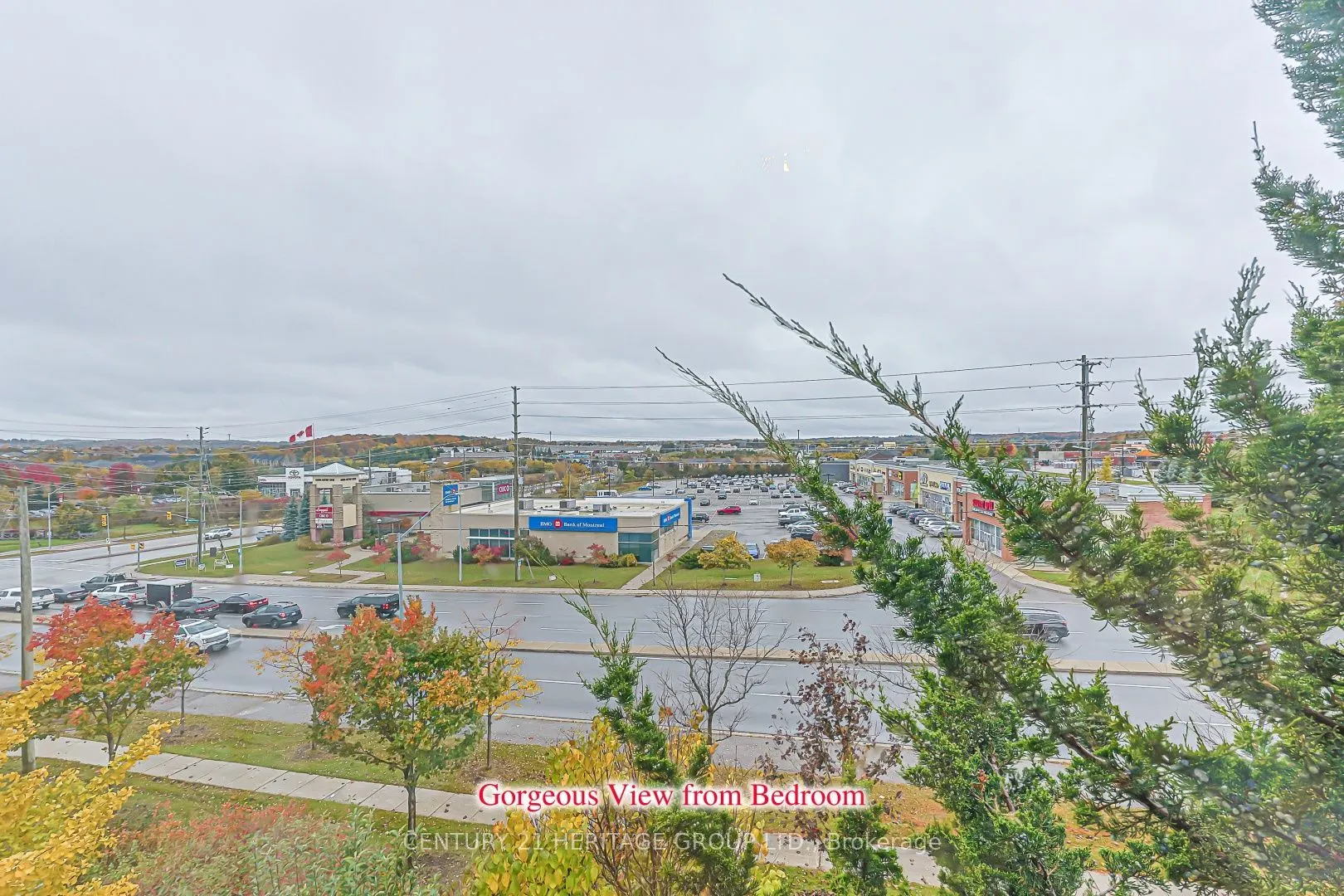 117 Zokol Drive