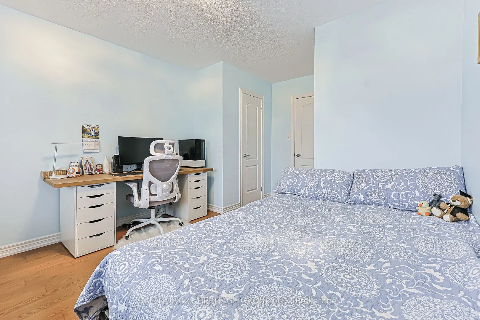 117 Zokol Drive