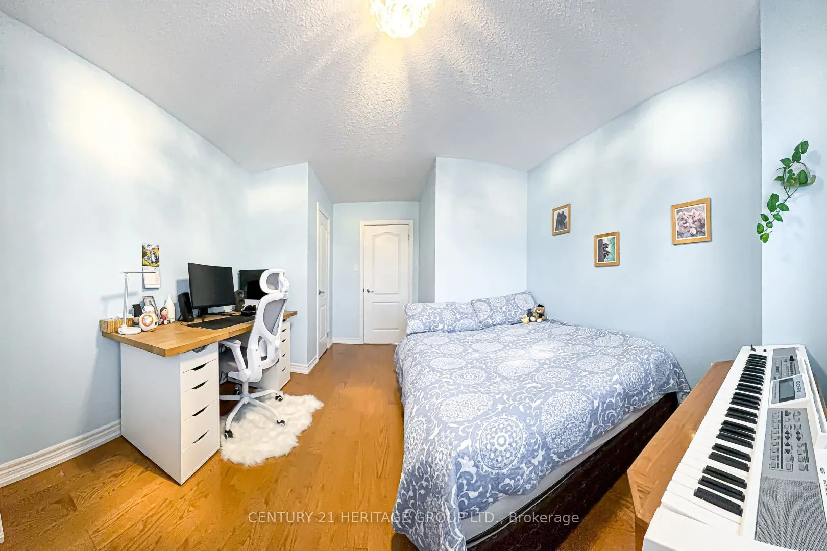 117 Zokol Drive