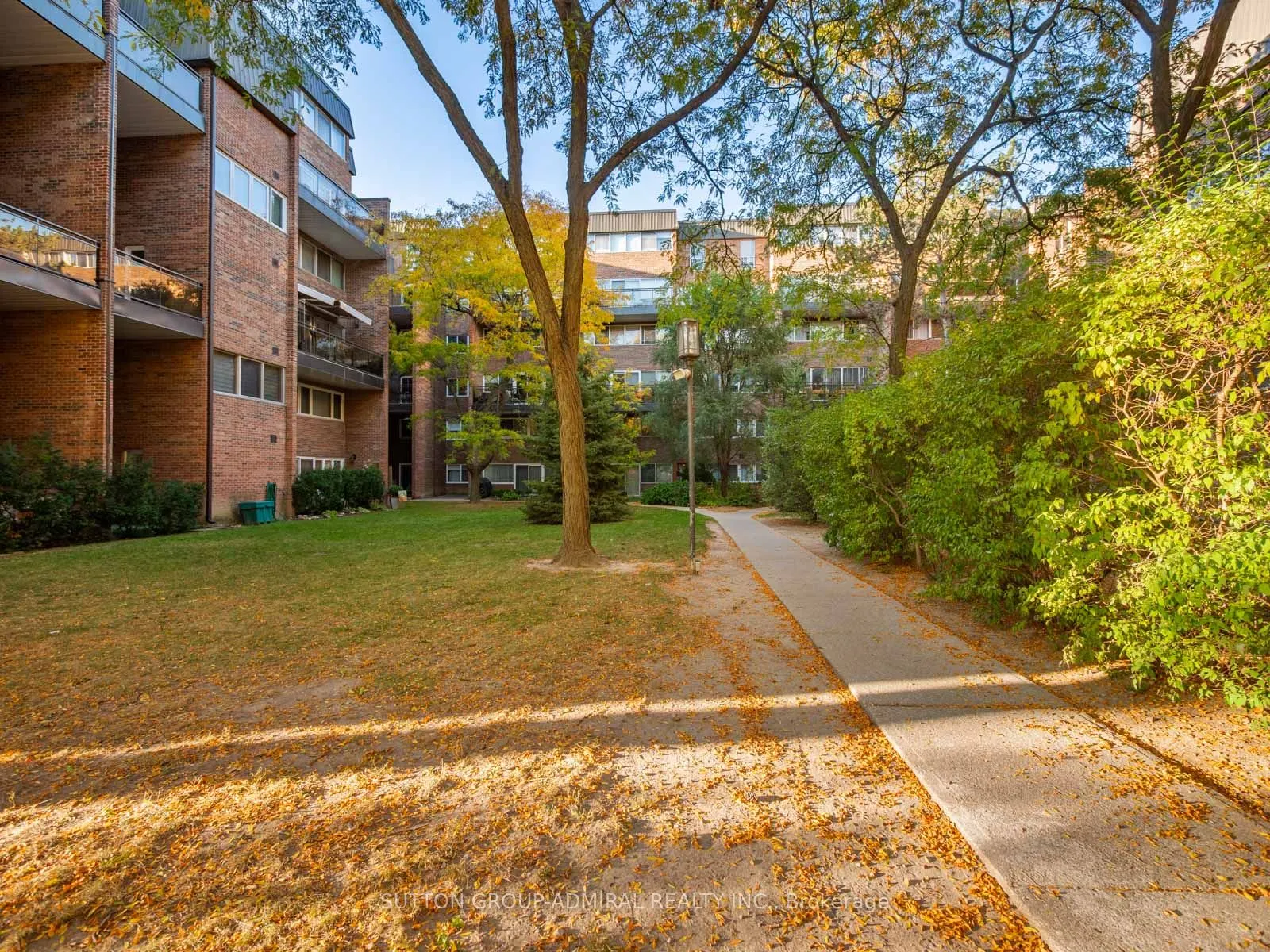 16 Elgin Street #316