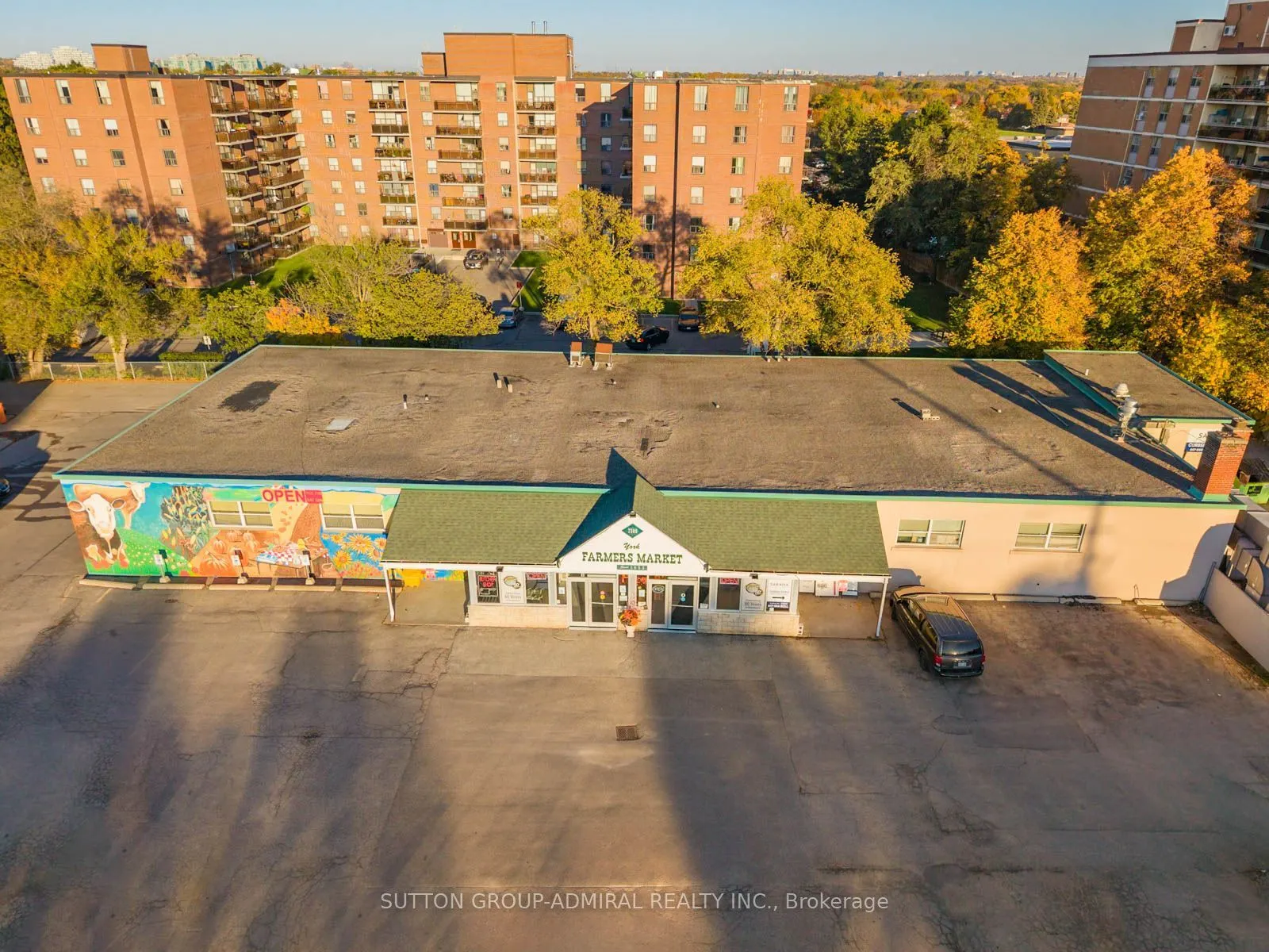 16 Elgin Street #316