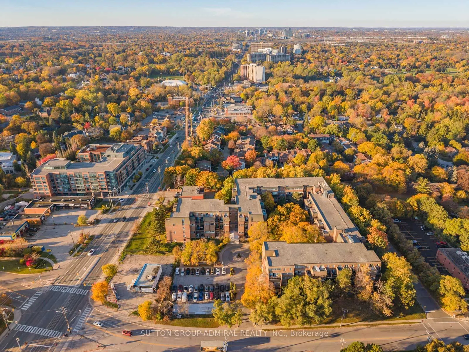 16 Elgin Street #316