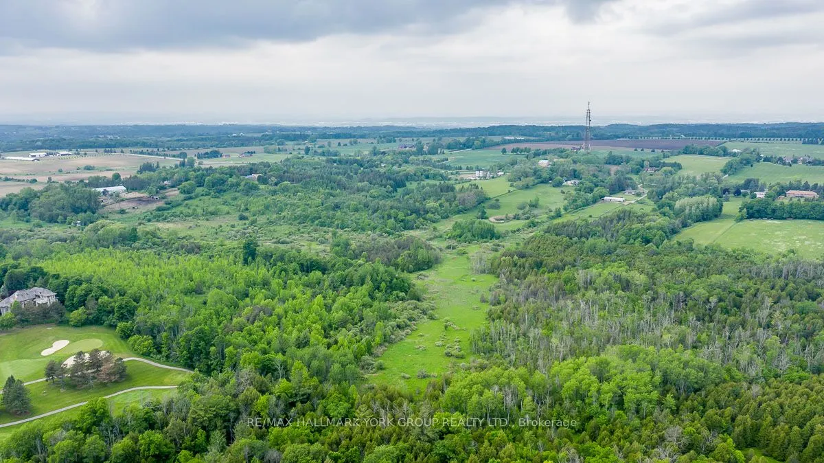 15763 Dufferin Street