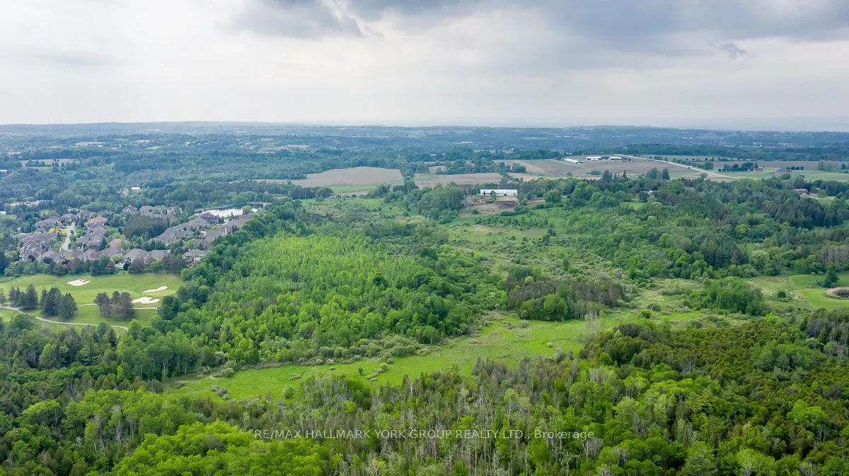 15763 Dufferin Street