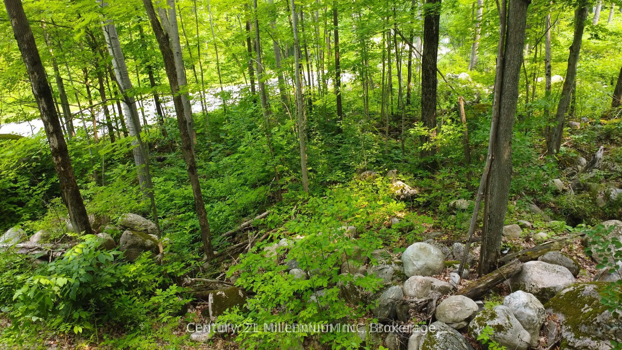 1963 Lot 52 Tiny Beaches Road N
