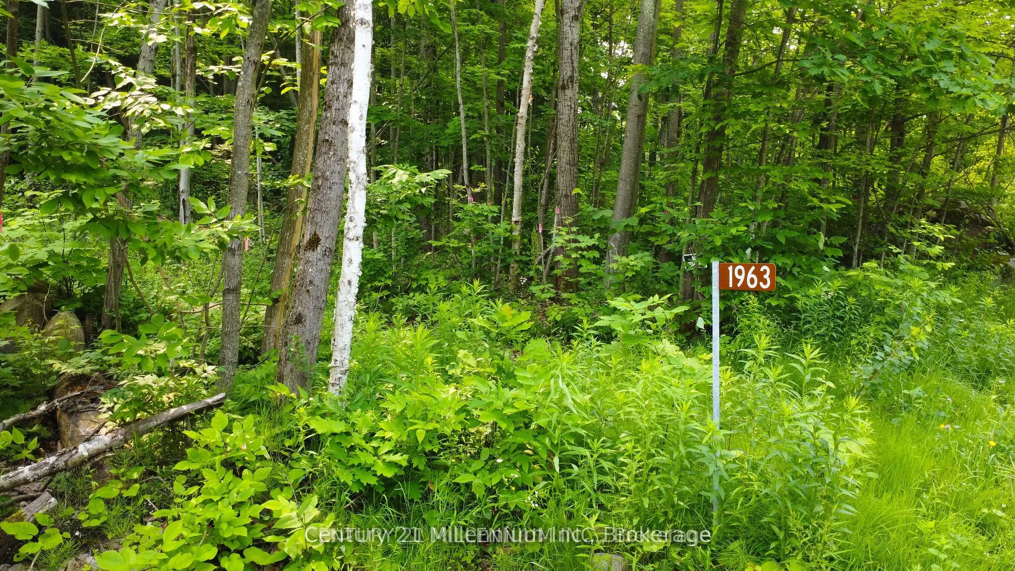 1963 Lot 52 Tiny Beaches Road N