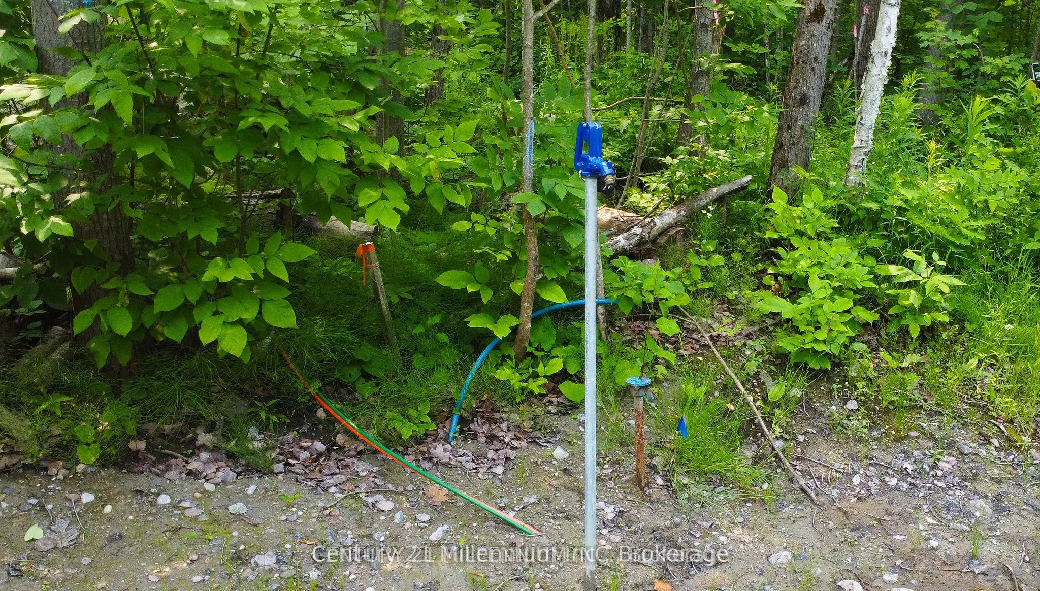 1963 Lot 52 Tiny Beaches Road N