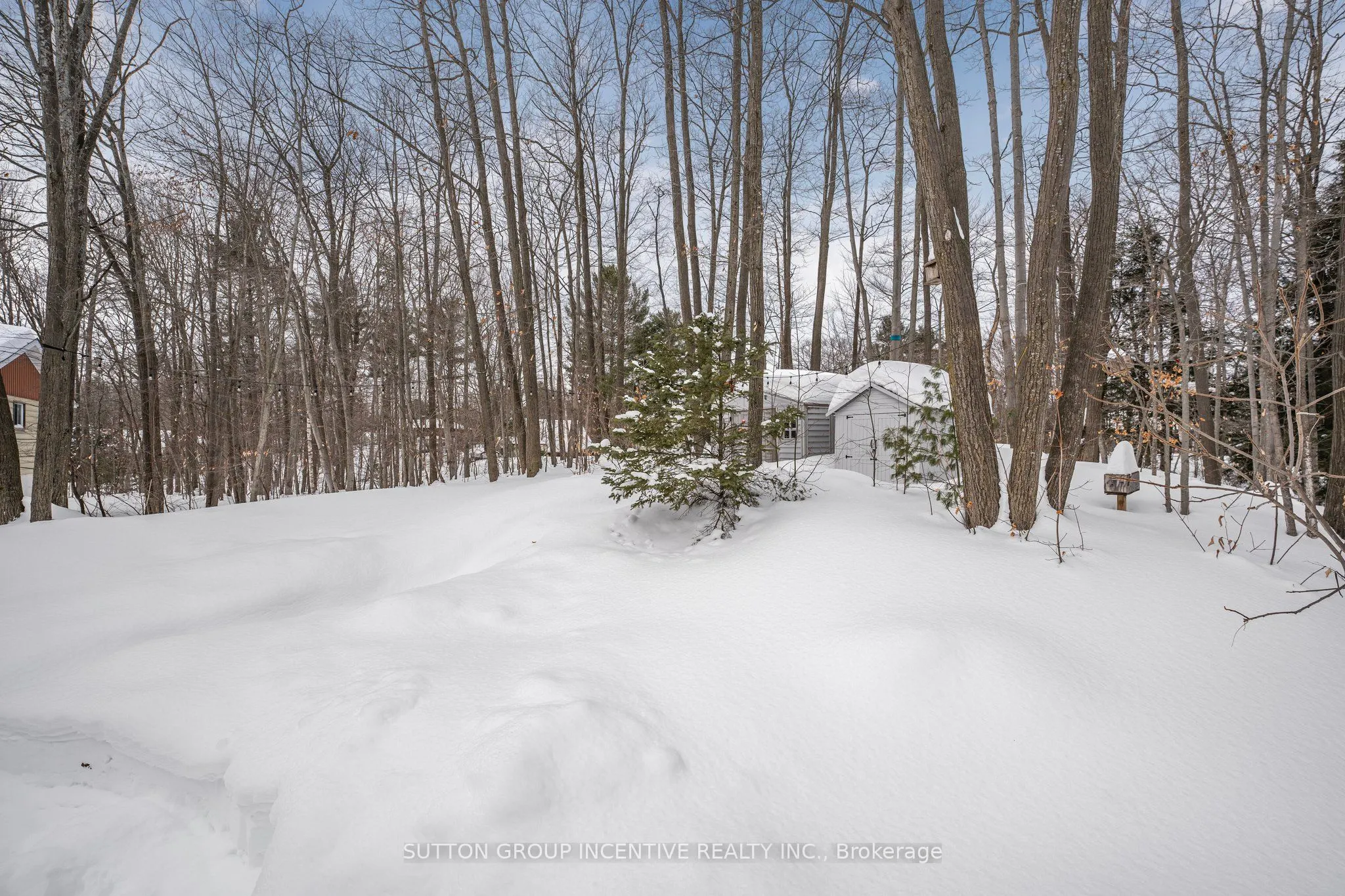 48 Tall Pines Drive