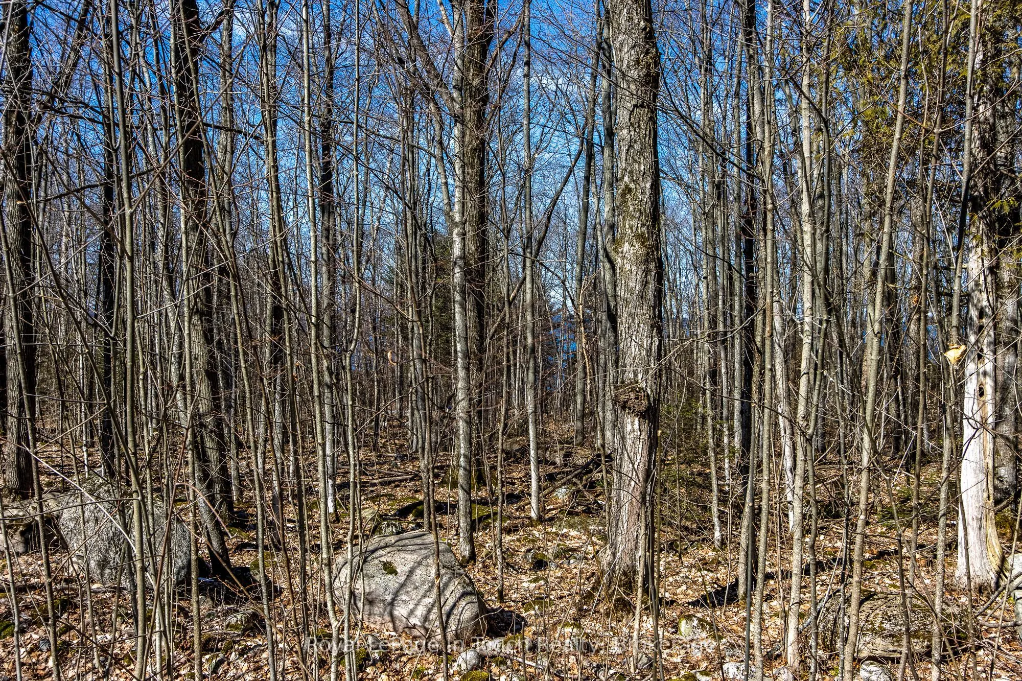 LOT 45 Tiny Beaches Road N