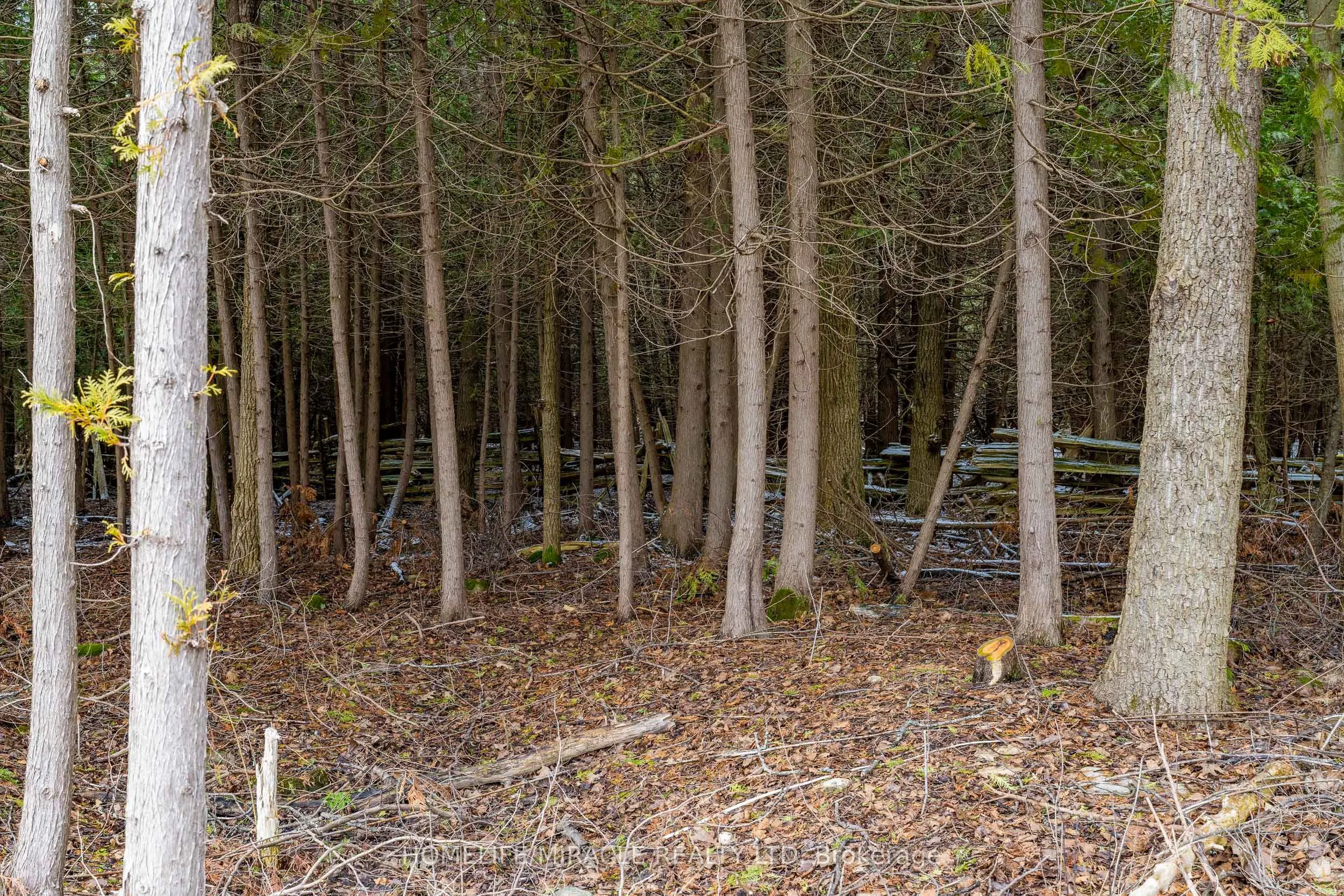 2506 CONCESSION 10 N NOTTAWASAGA Road