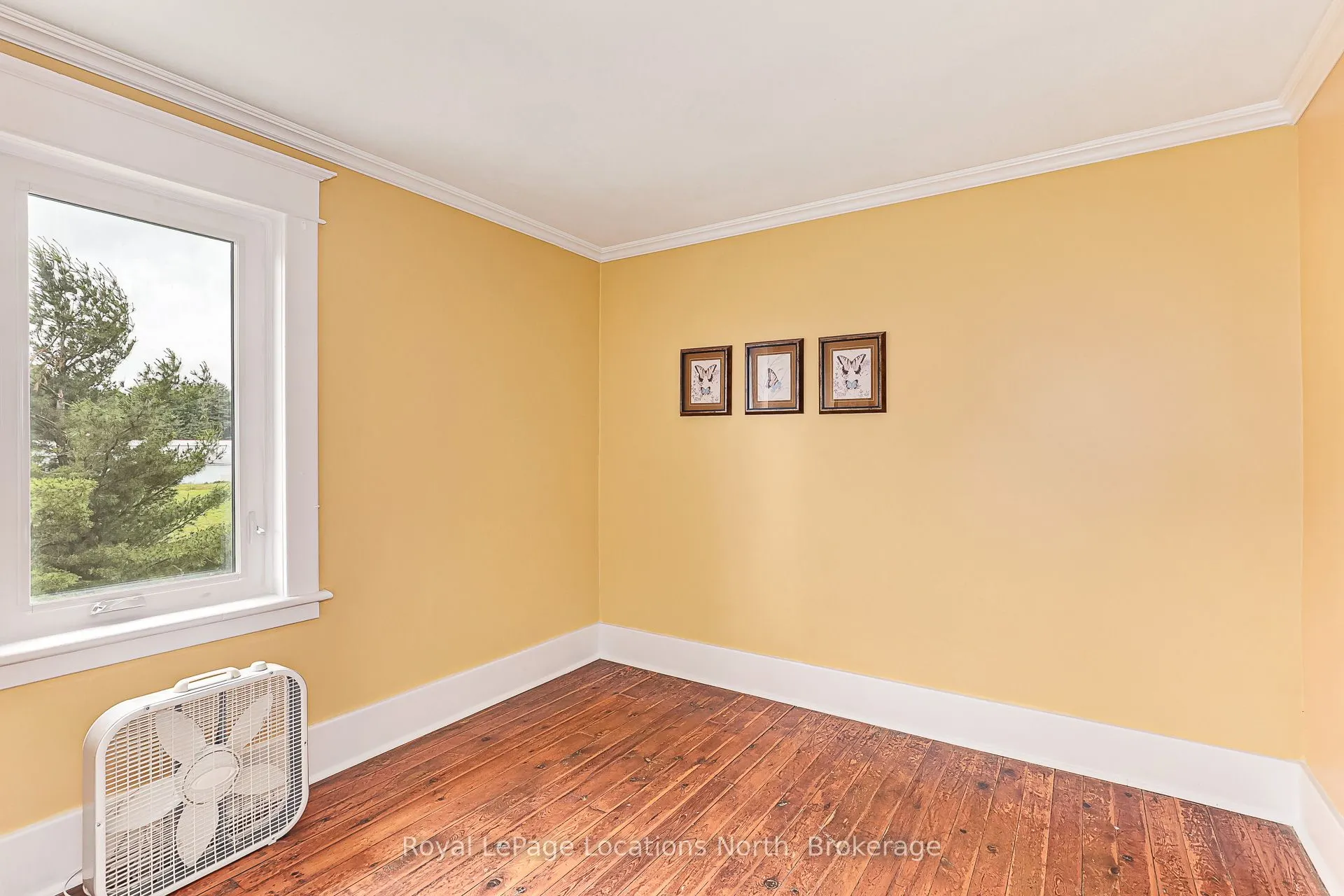 5576 Concession Rd 6 Sunnidale