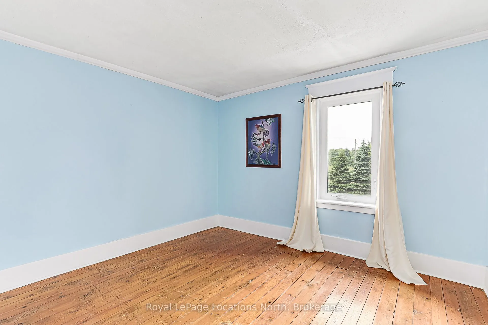 5576 Concession Rd 6 Sunnidale