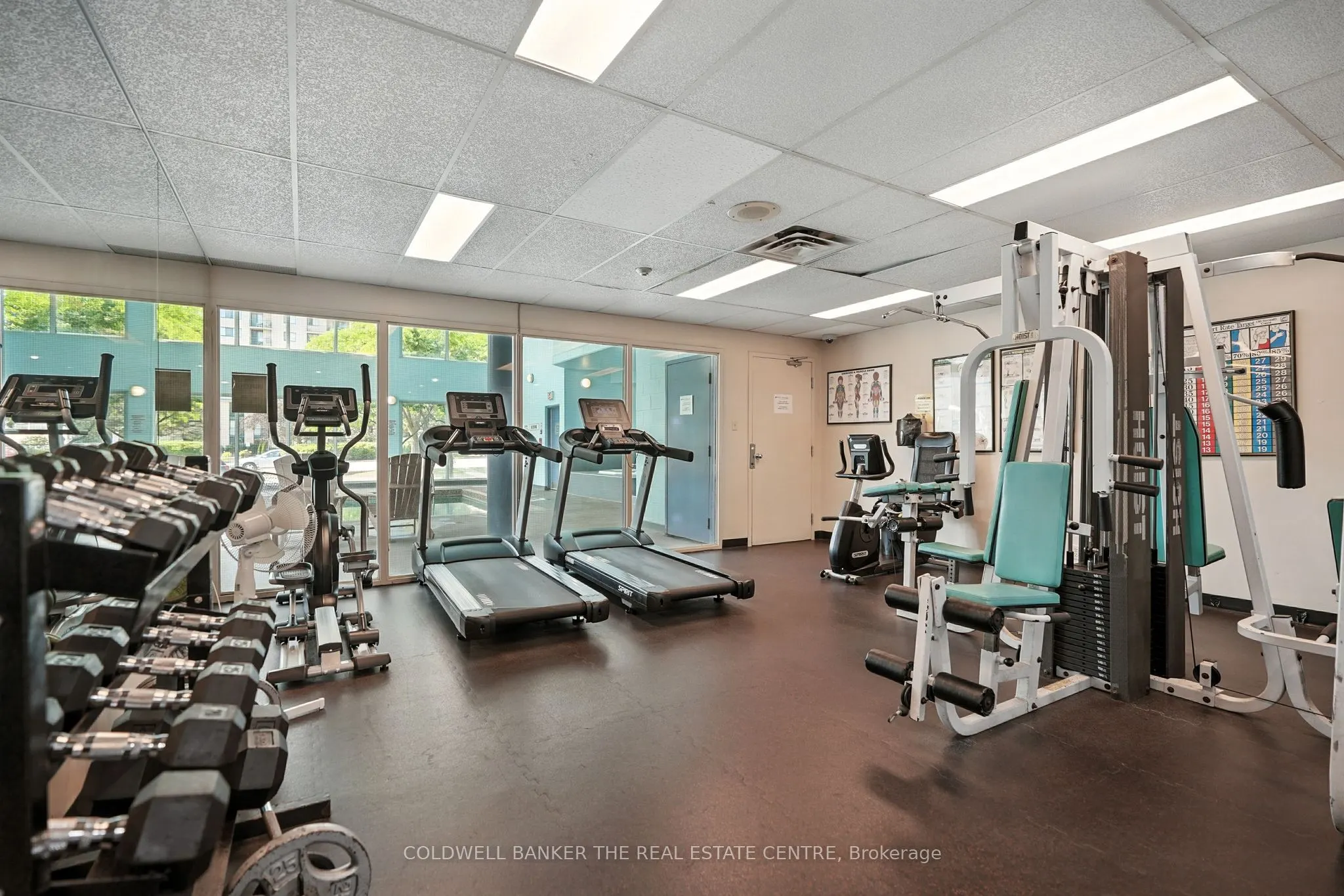 65 Ellen Street #1104