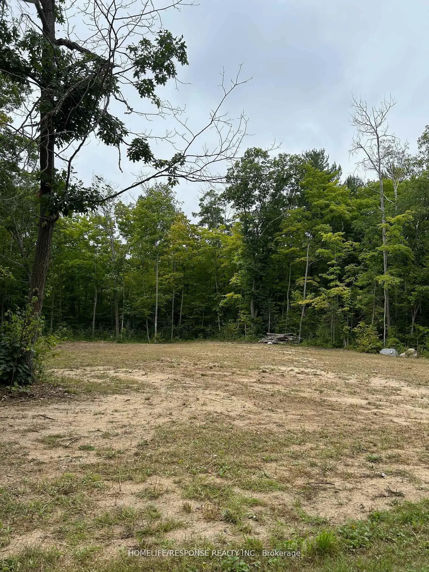 56 Poplar Drive W