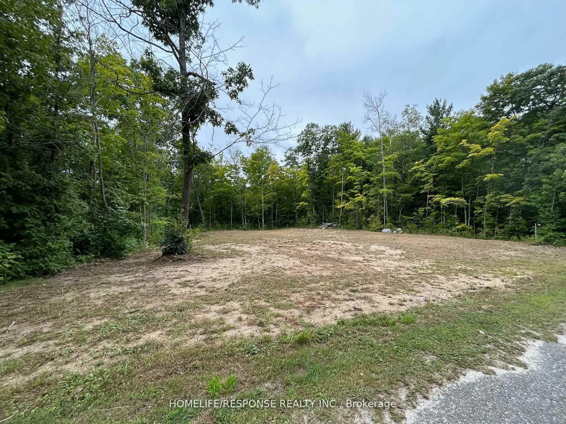 56 Poplar Drive W