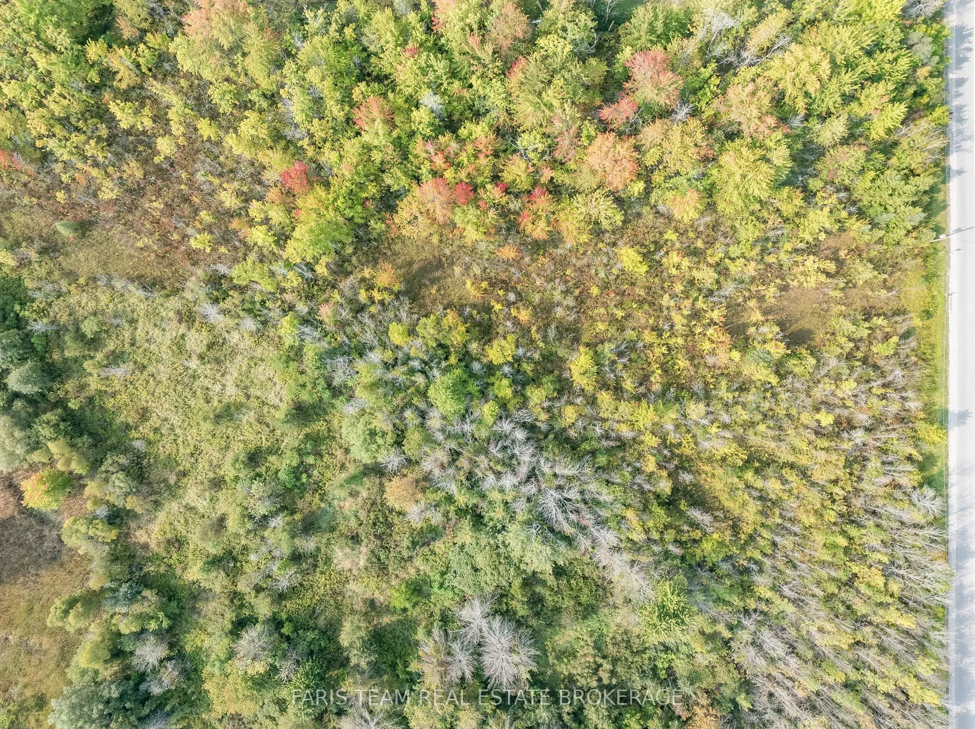 15 Quarry Road