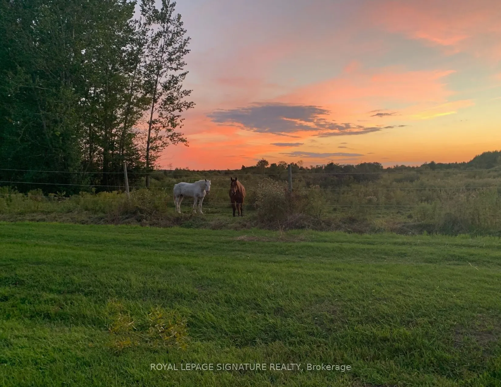 1152 Concession Road