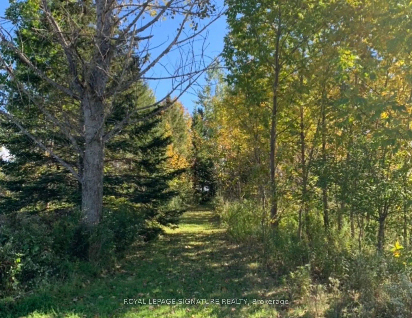 1152 Concession Road