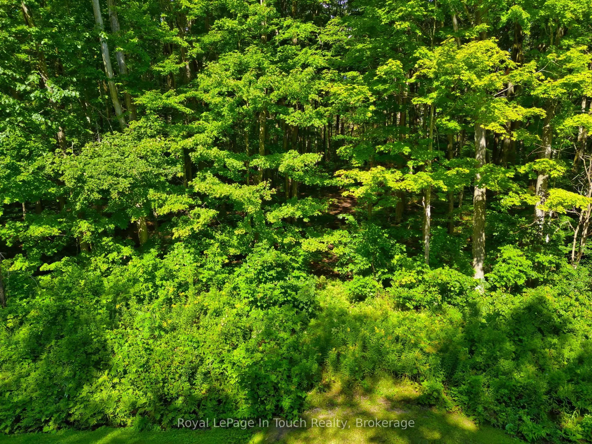Lot 52 Copeland Creek Drive