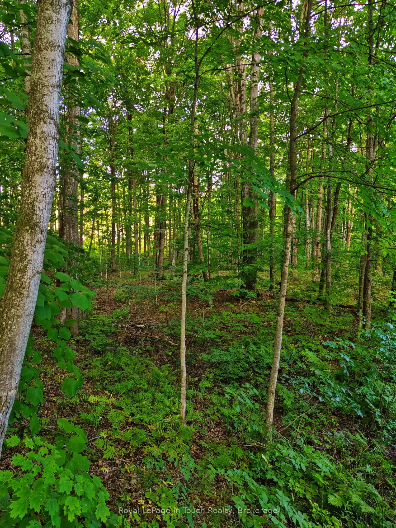 Lot 52 Copeland Creek Drive